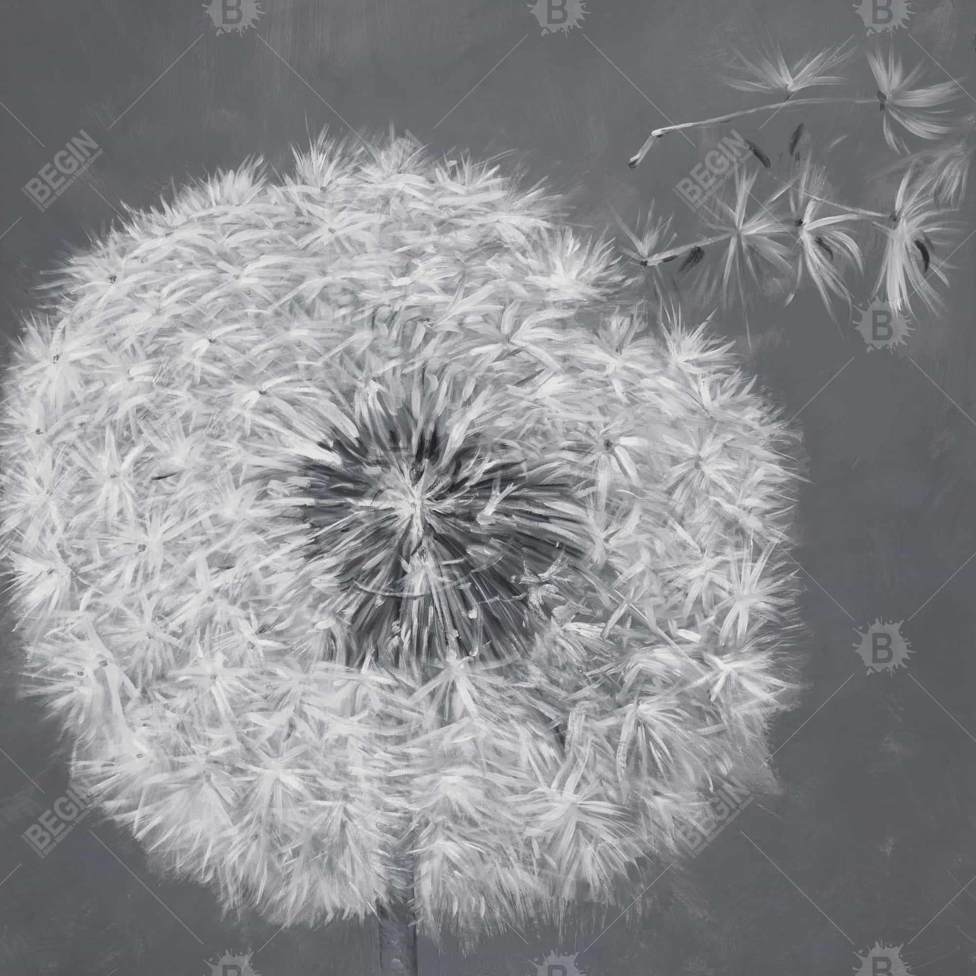 Blowing dandelion