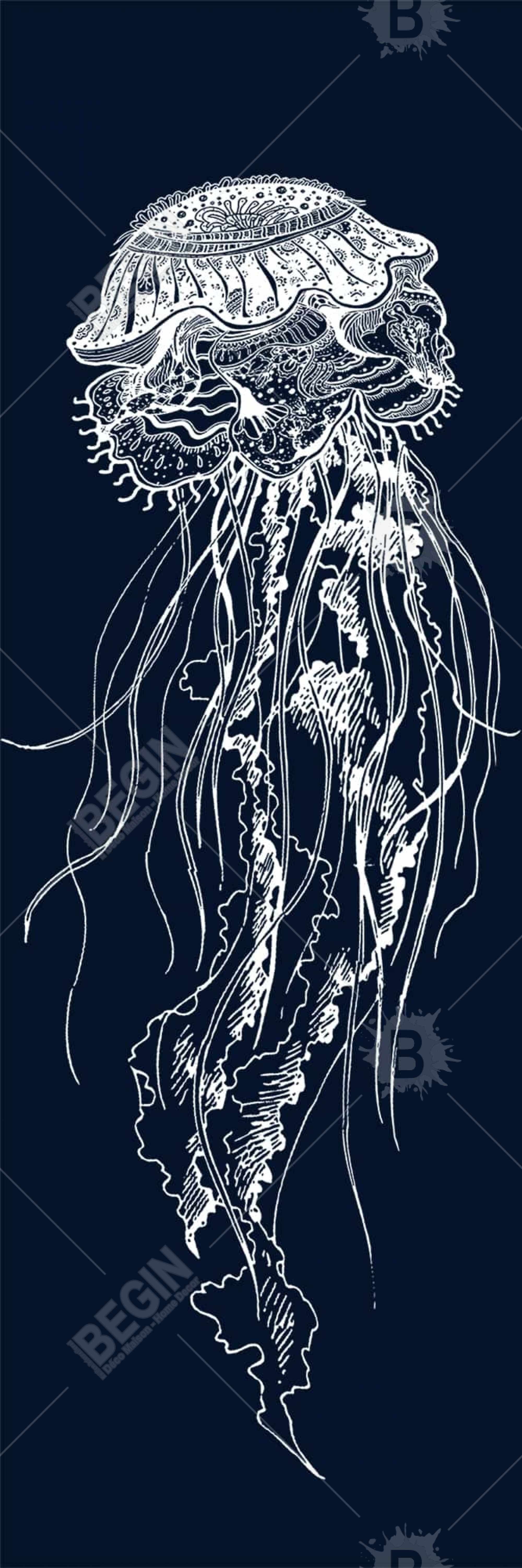  illustration détaillée d'une méduse