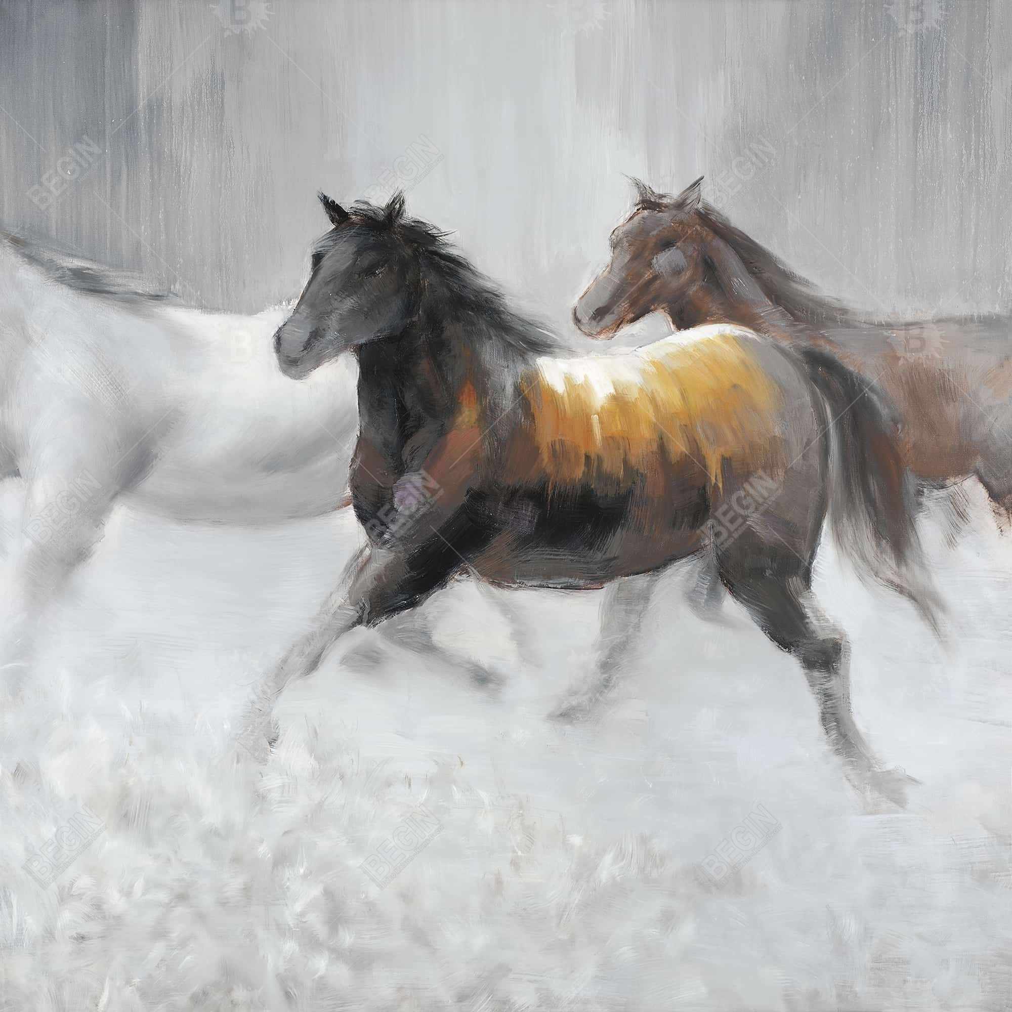 Troupeau de chevaux sauvages