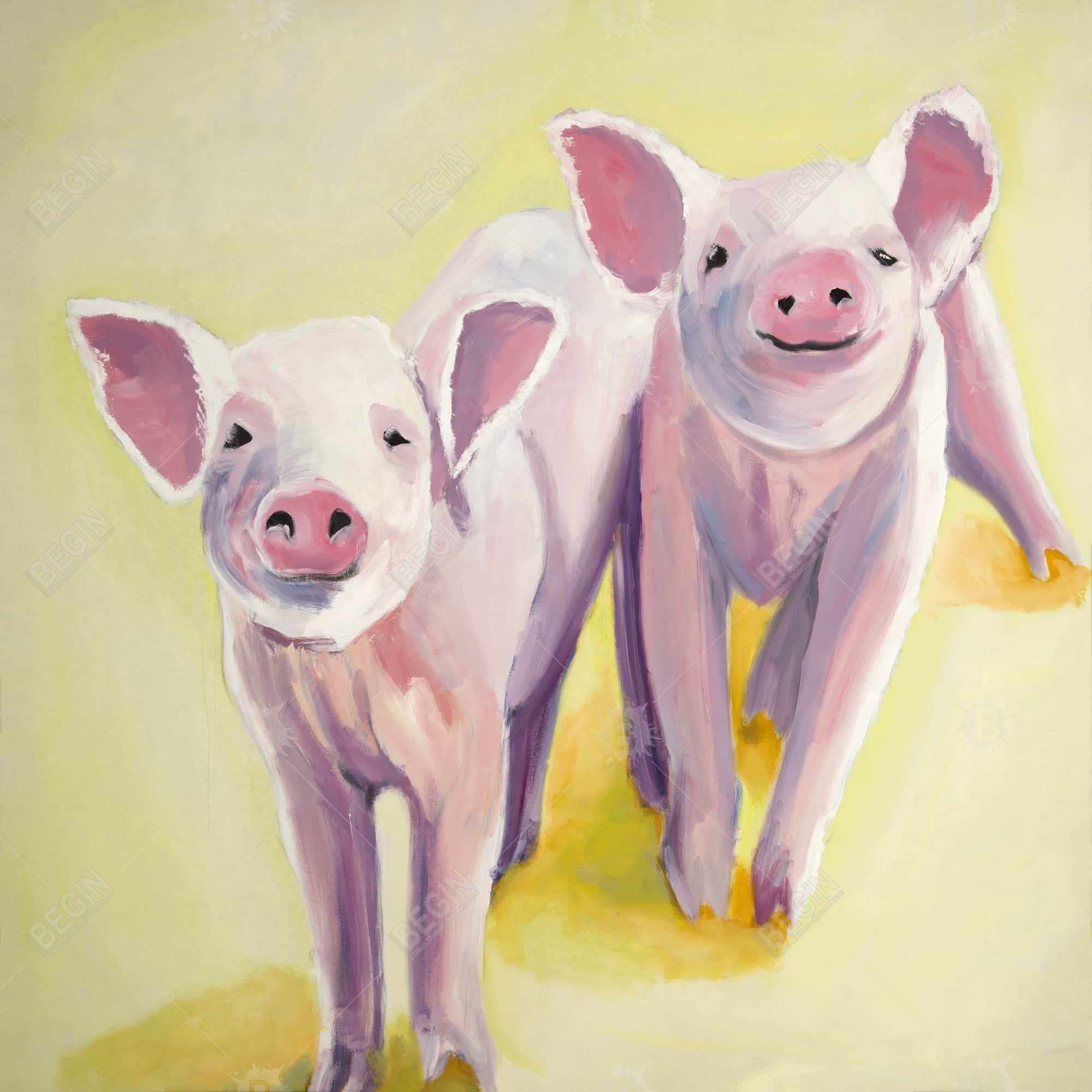 Deux cochons souriant