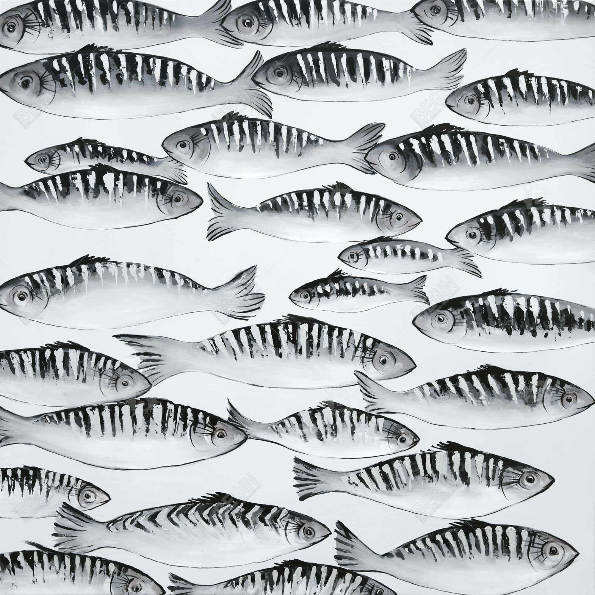Banc de poisson gris