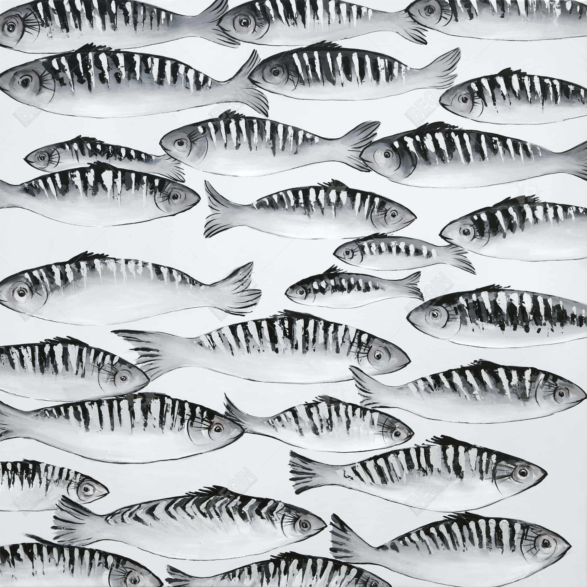 Gray shoal of fish