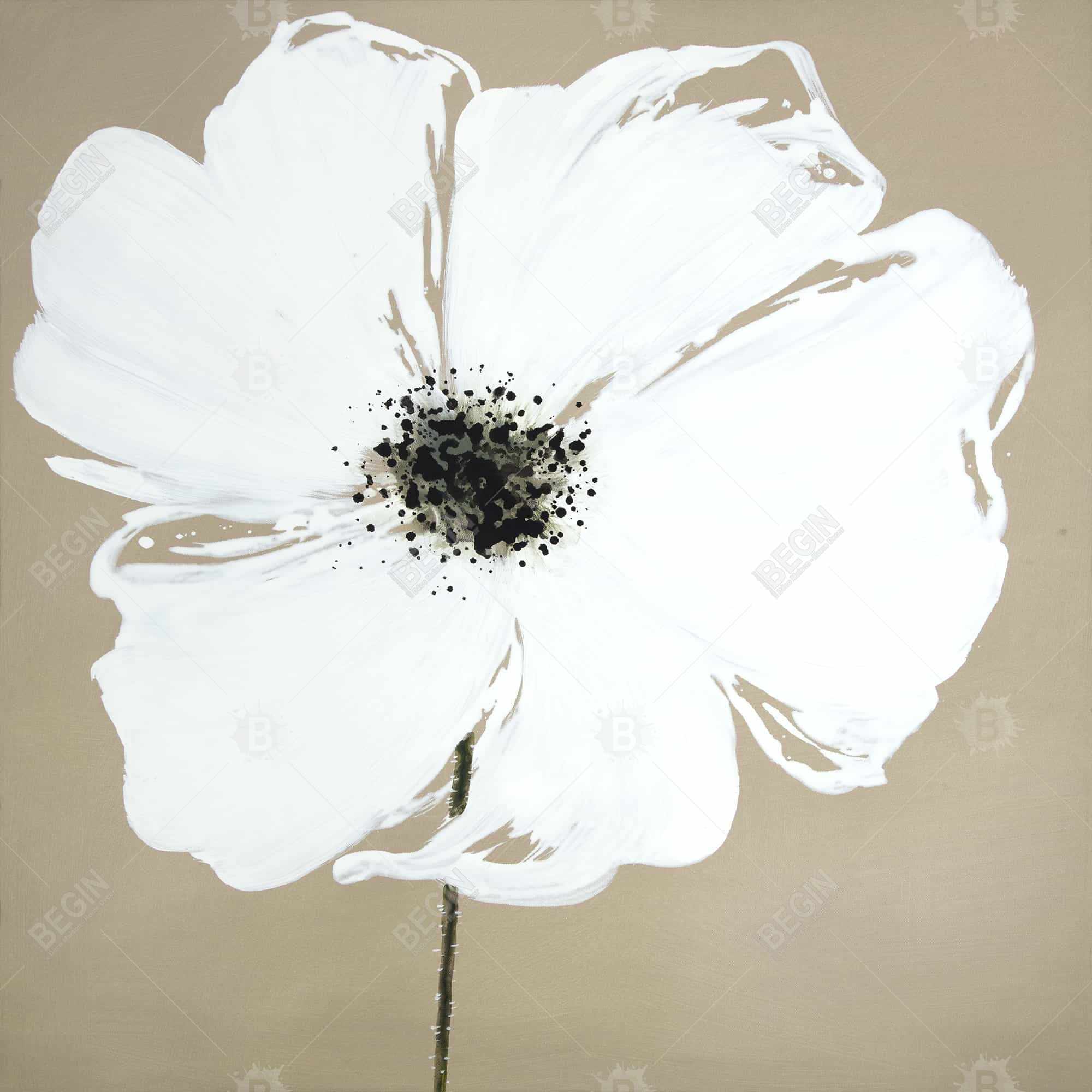 Abstract color splash petals flower