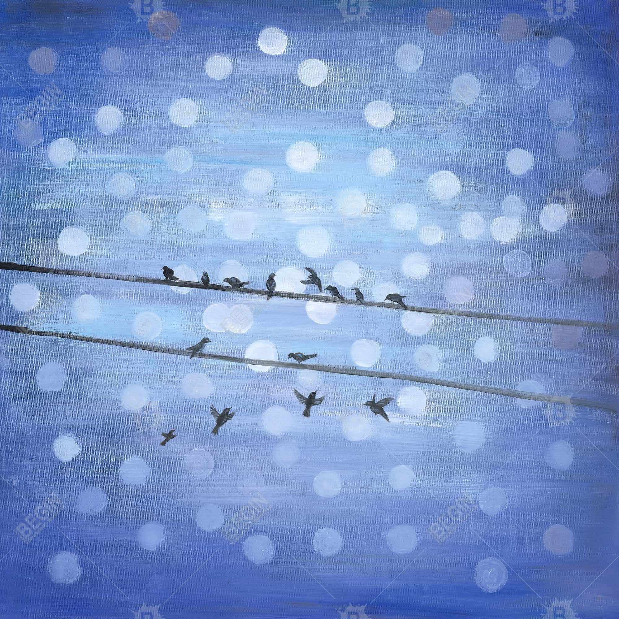 Oiseaux sur ciel bleu scintillant