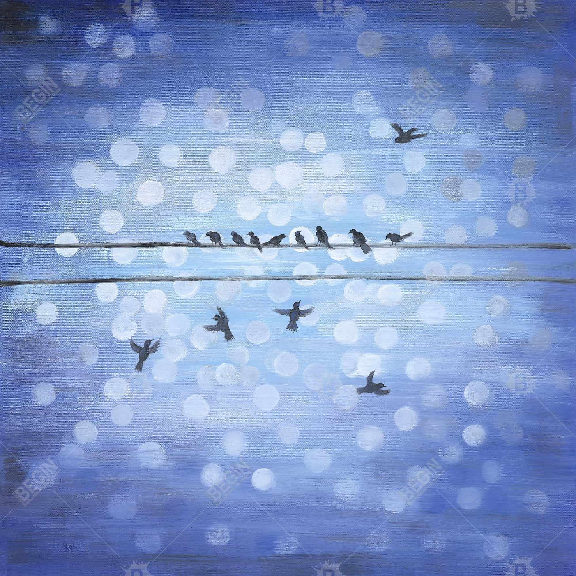 Oiseaux sur un fil avec ciel bleu clair