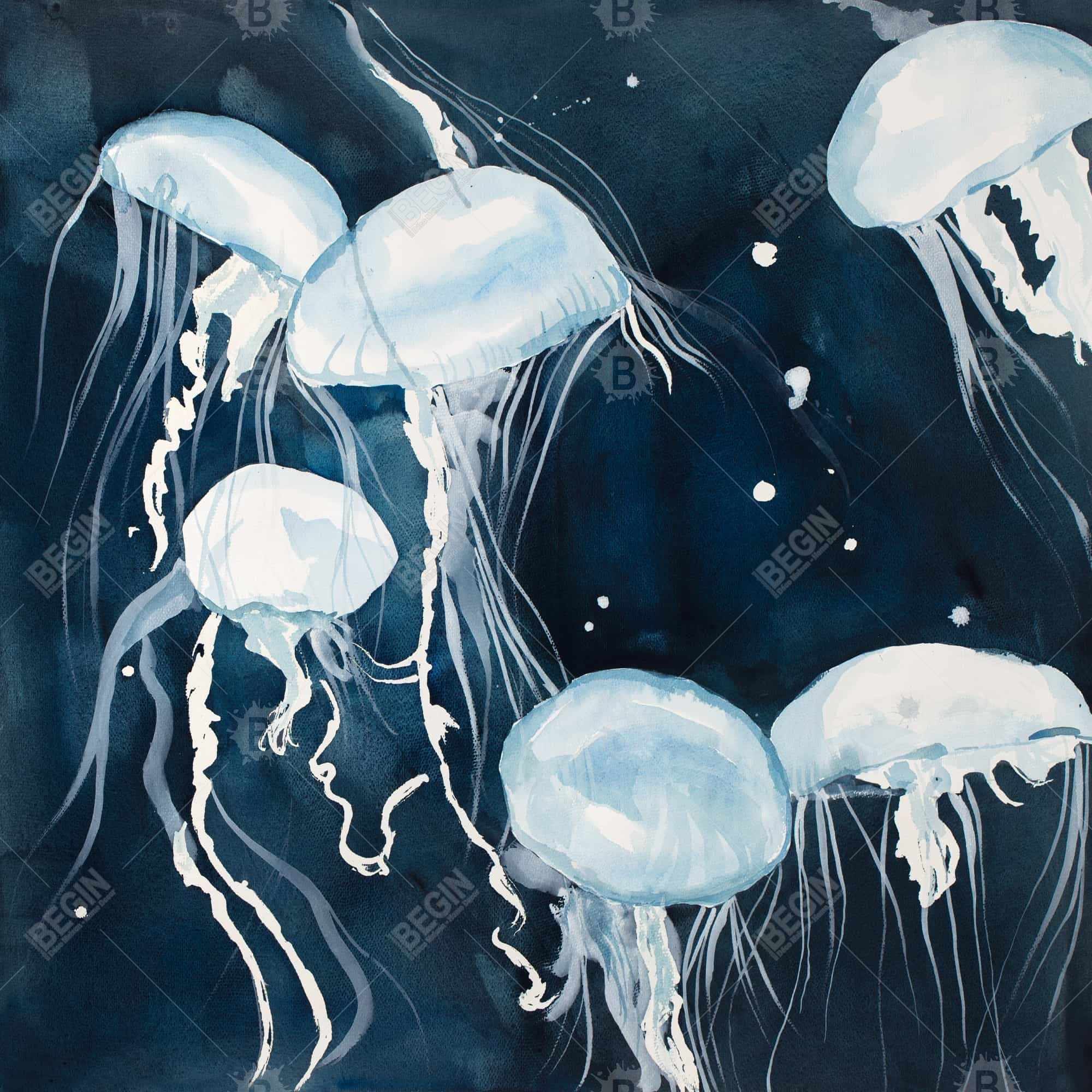 Meduses