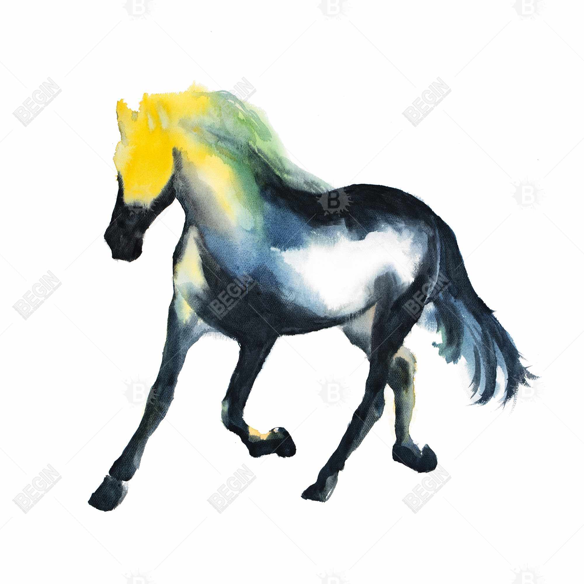 Galloping horse