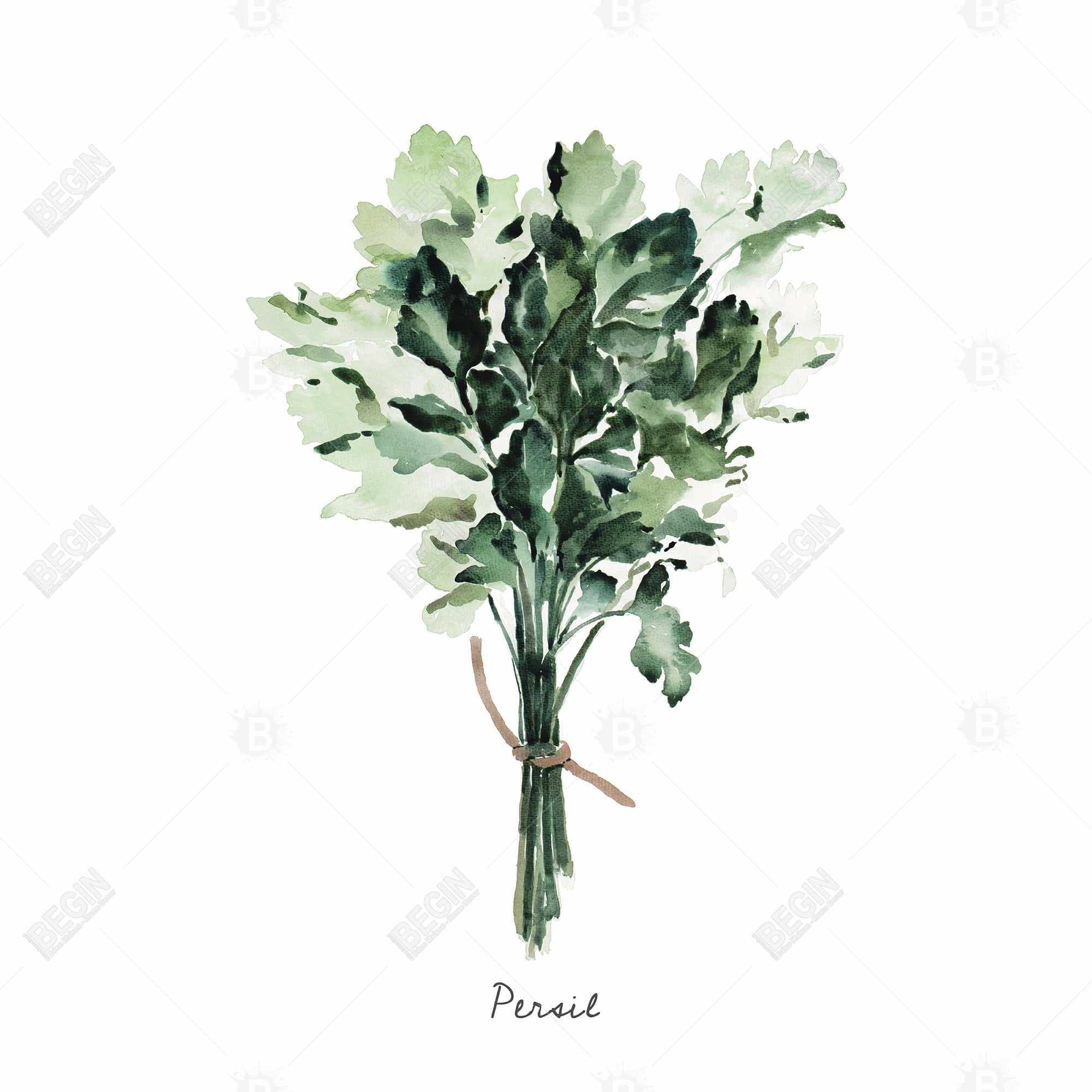 Tied up persil bundle - fr