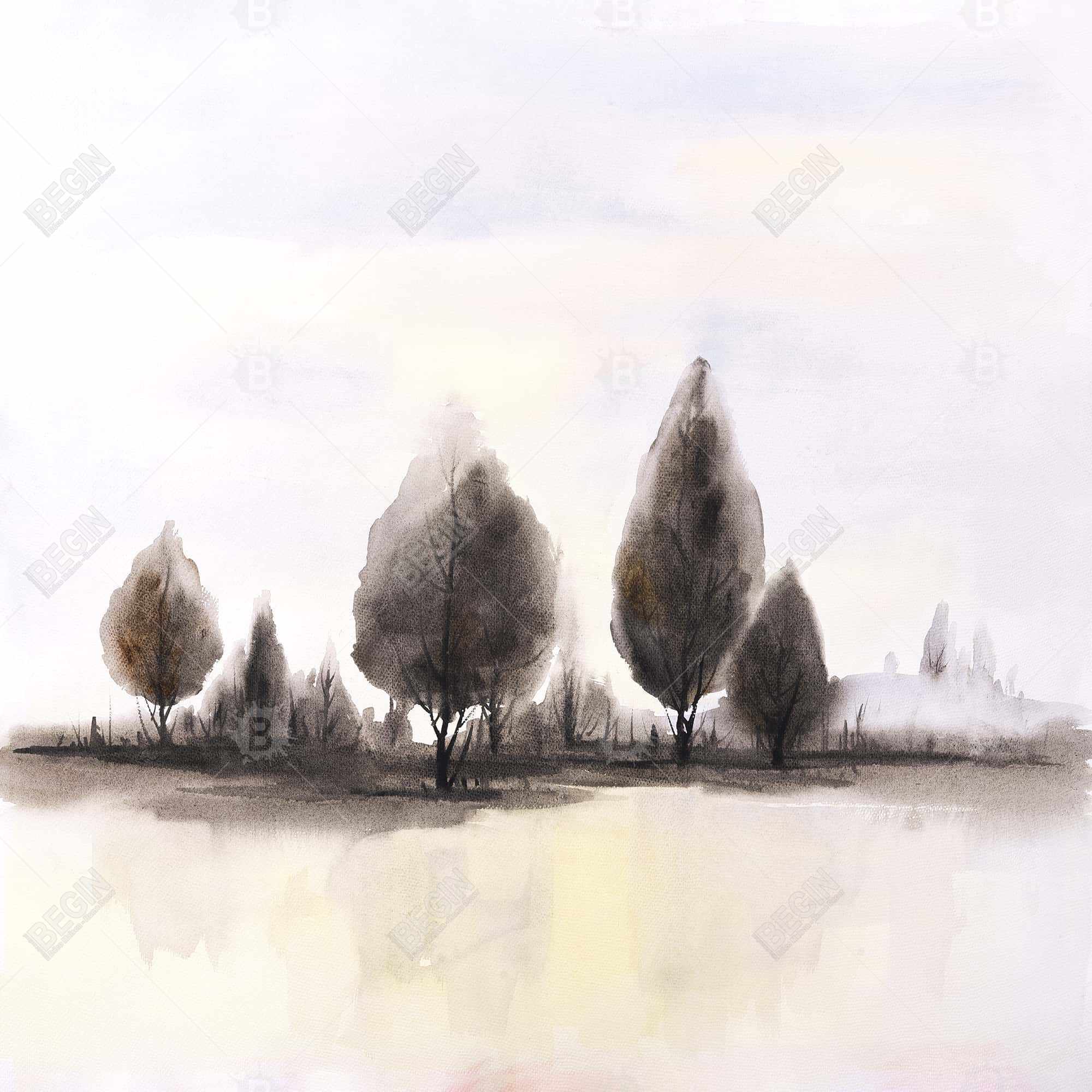 Landscape of trees