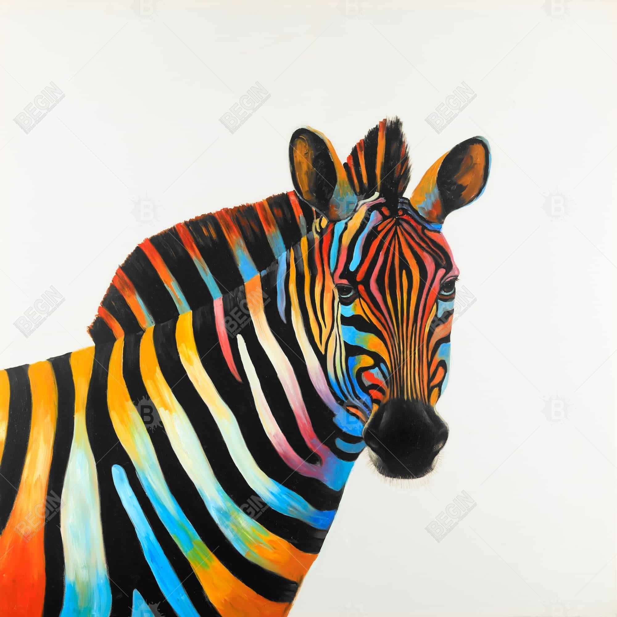 Colorful profile view of a zebra