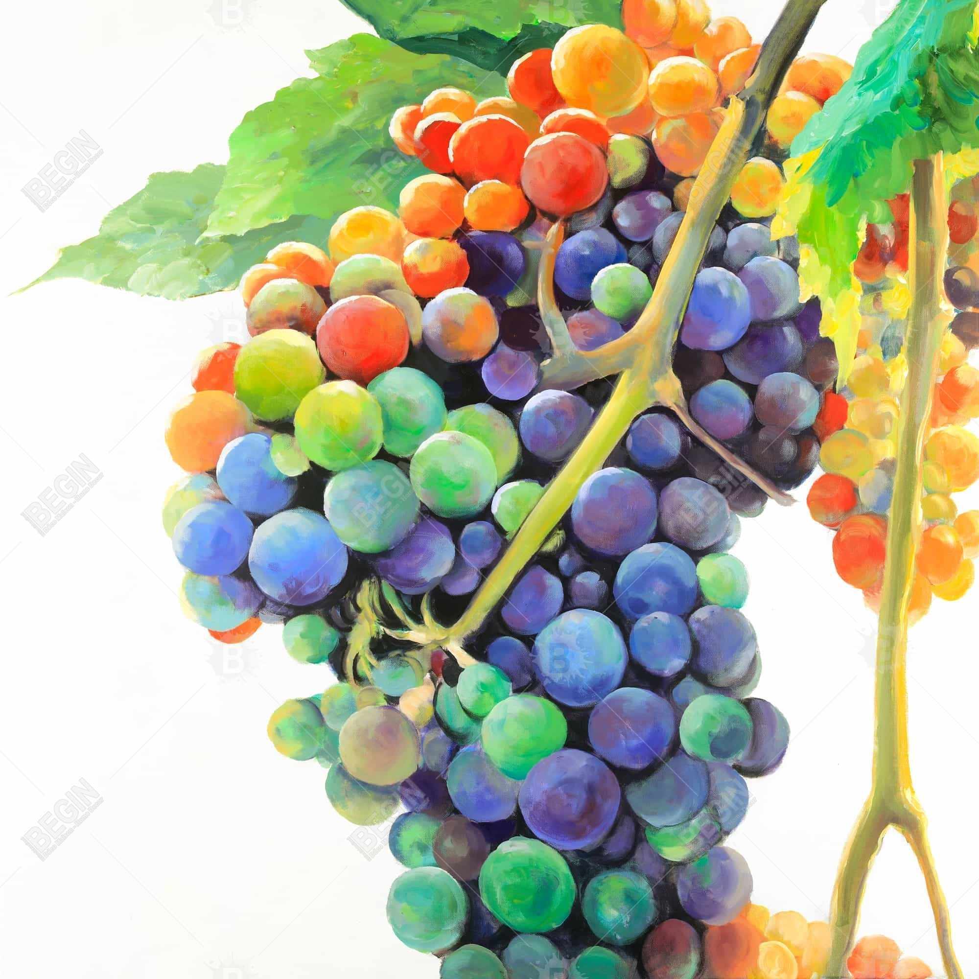 Colorful bunch of grapes