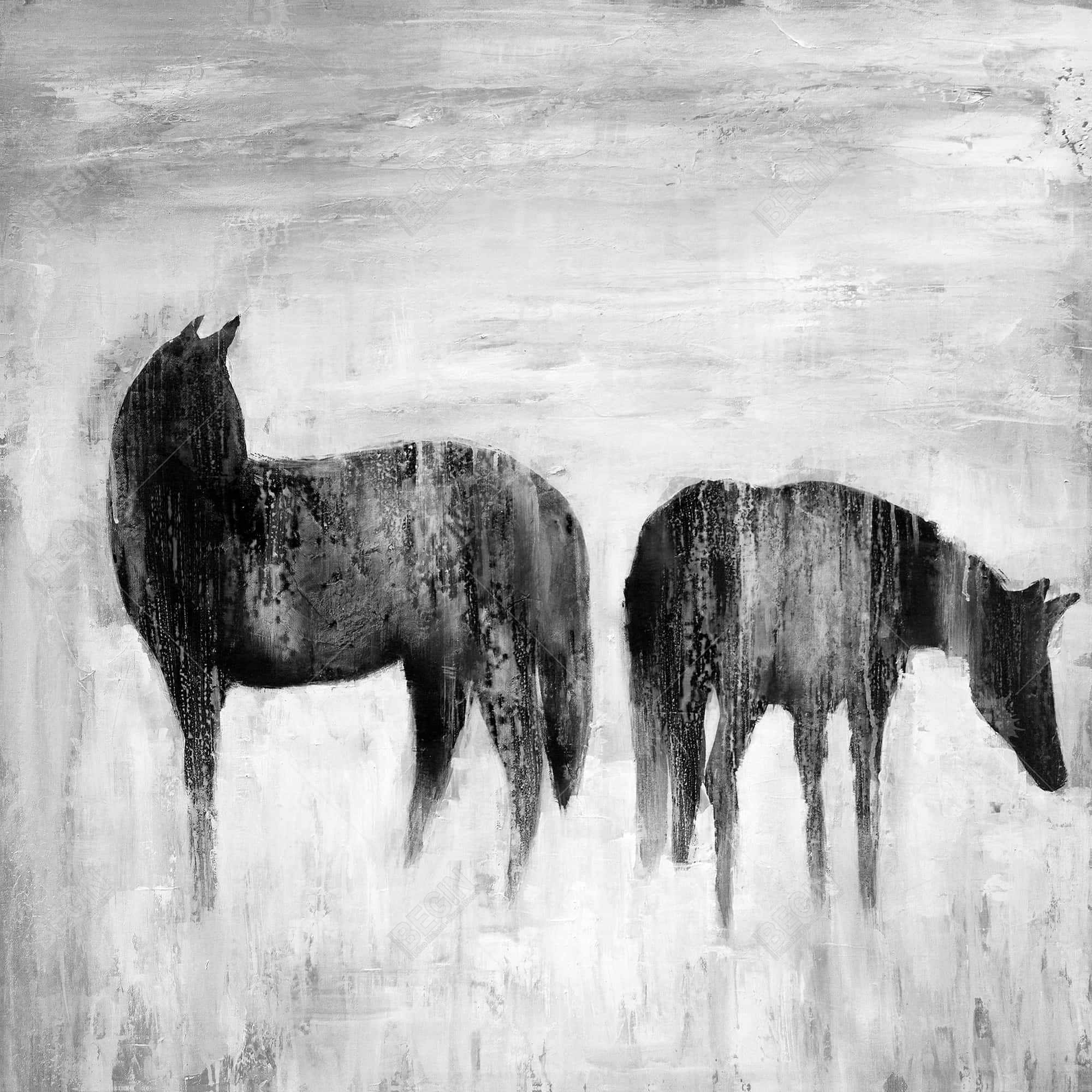 Horses silhouettes in the mist