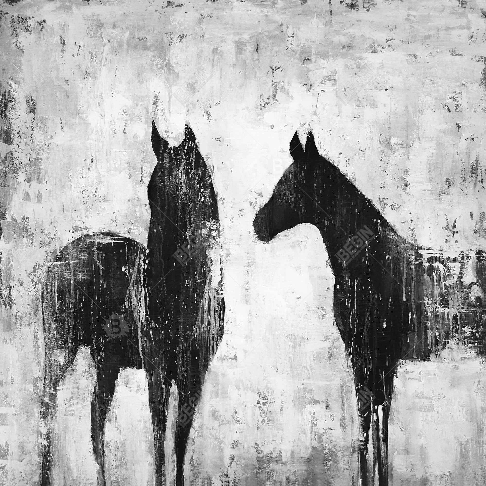Chevaux blancs et noirs
