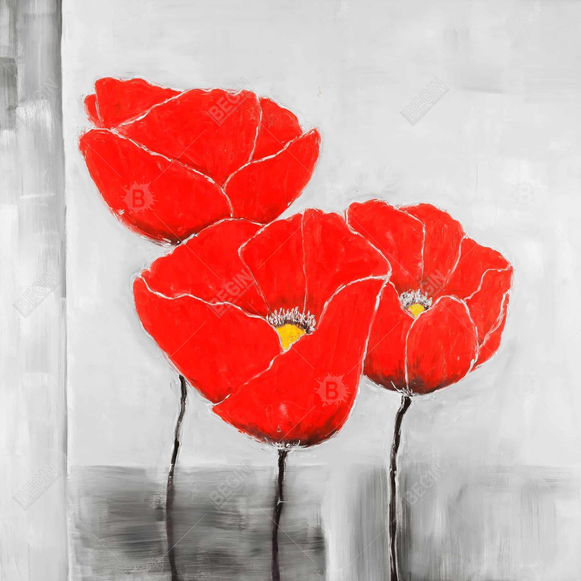 Three poppies