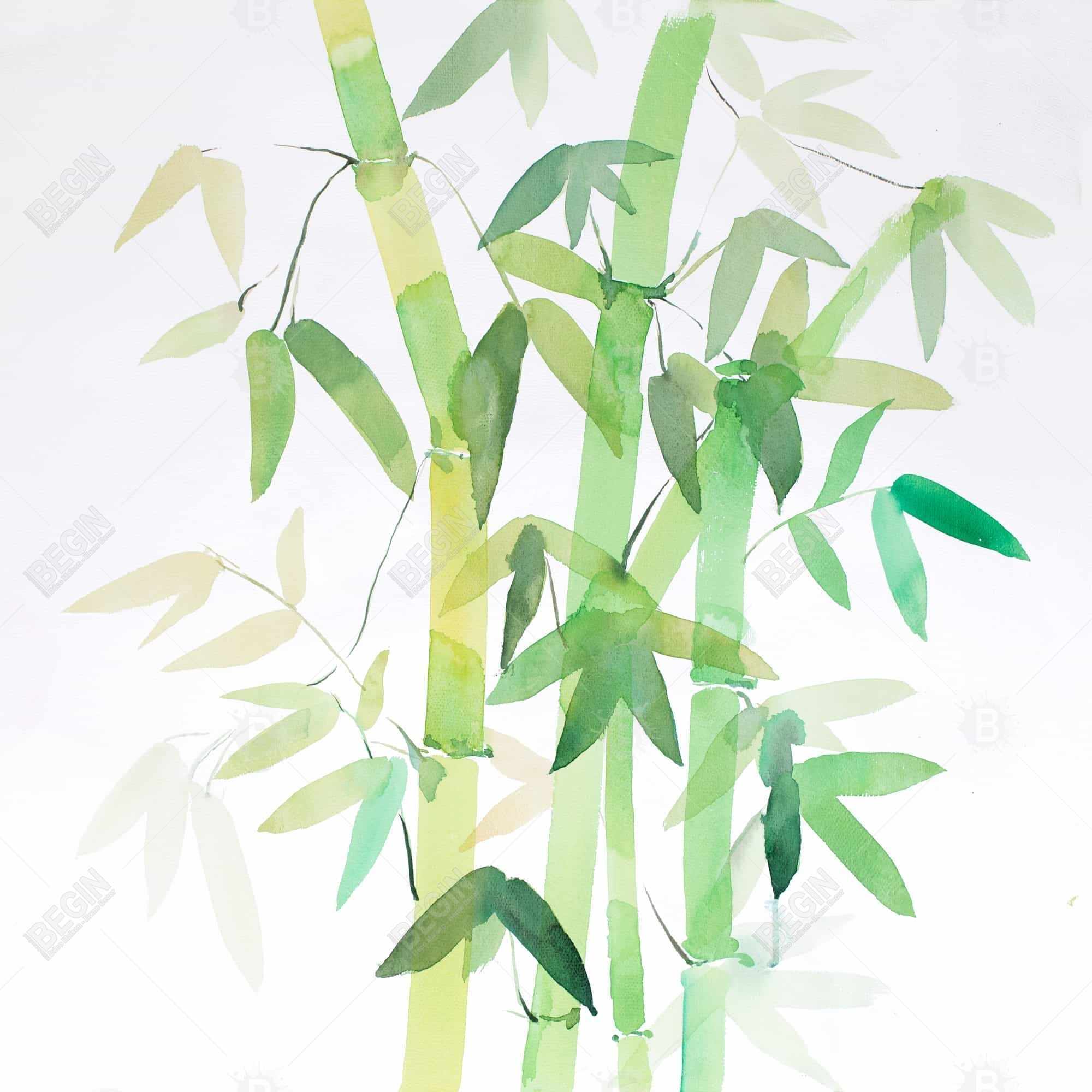 Watercolor bamboo with leaves