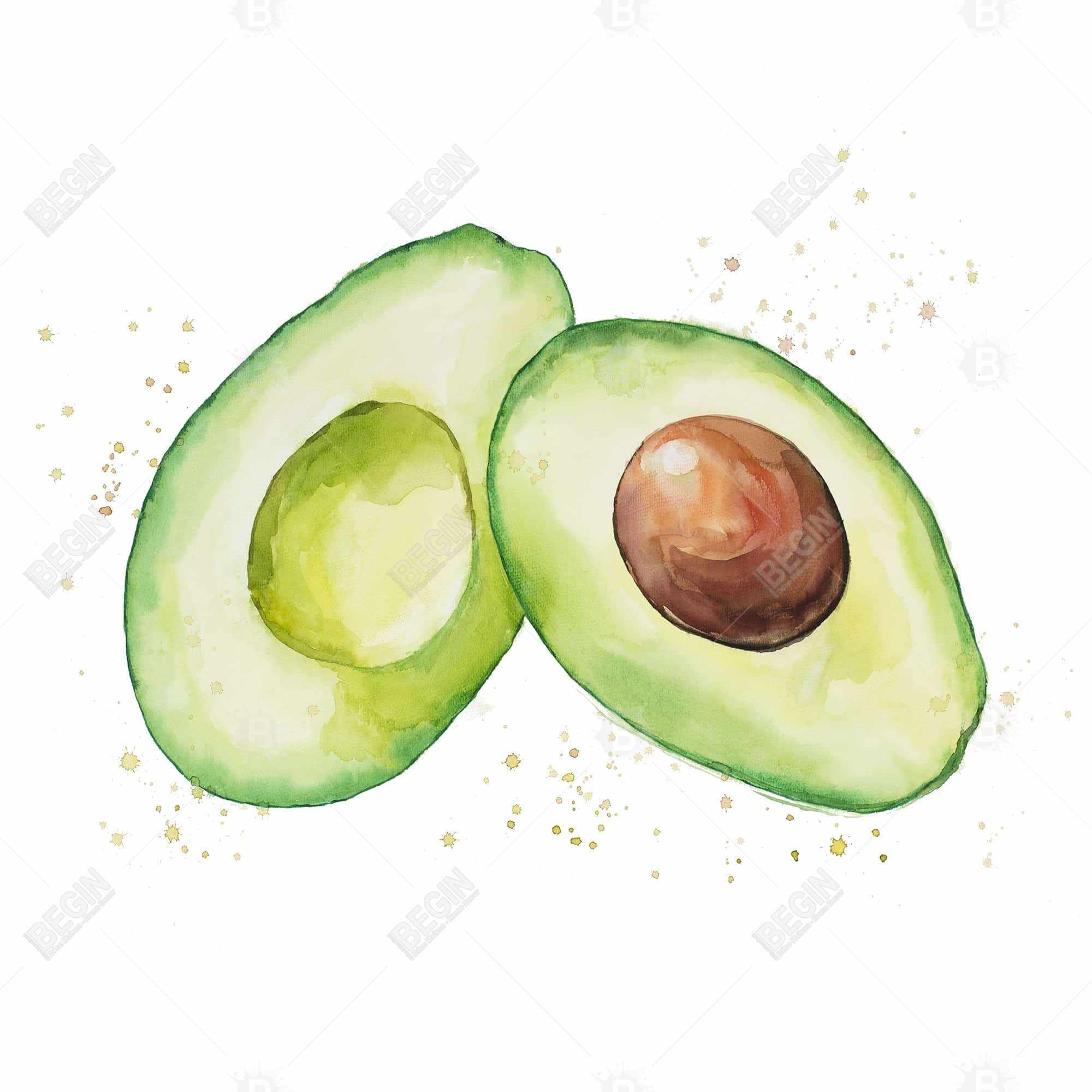 Watercolor open avocado