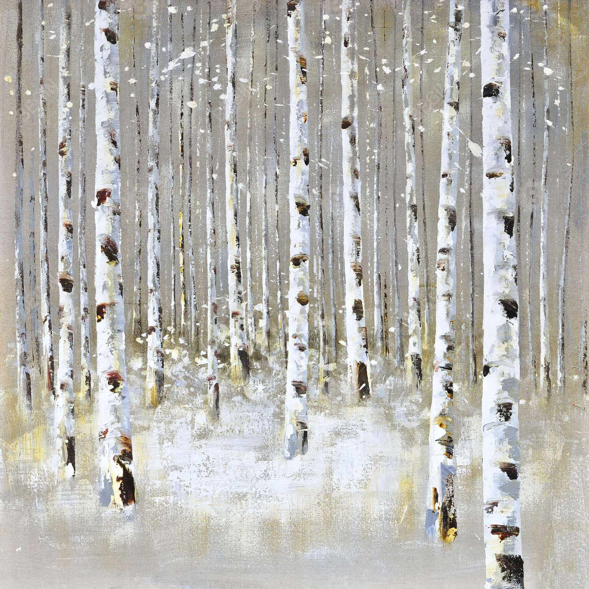 Birch forest by winter