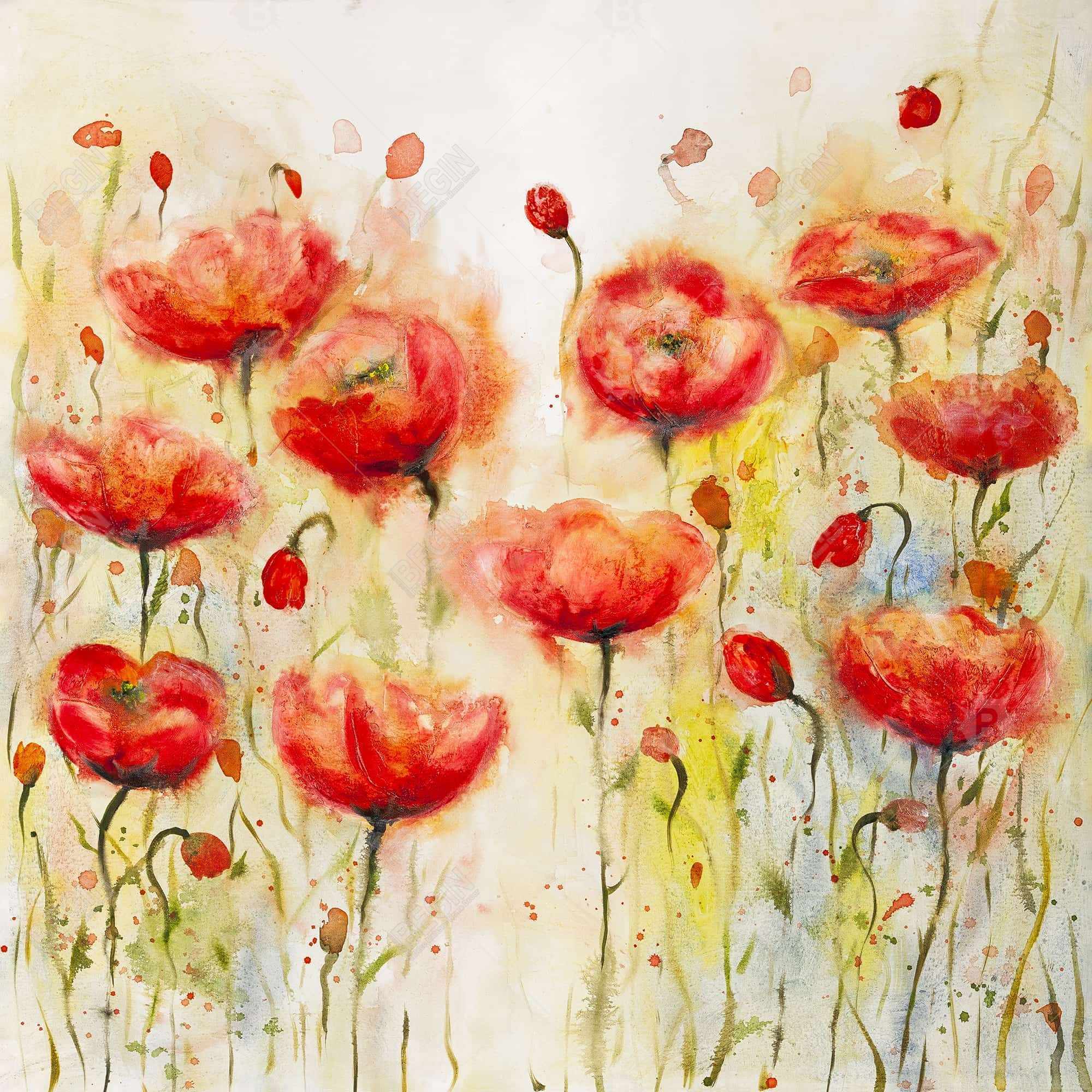 Red flowers garden