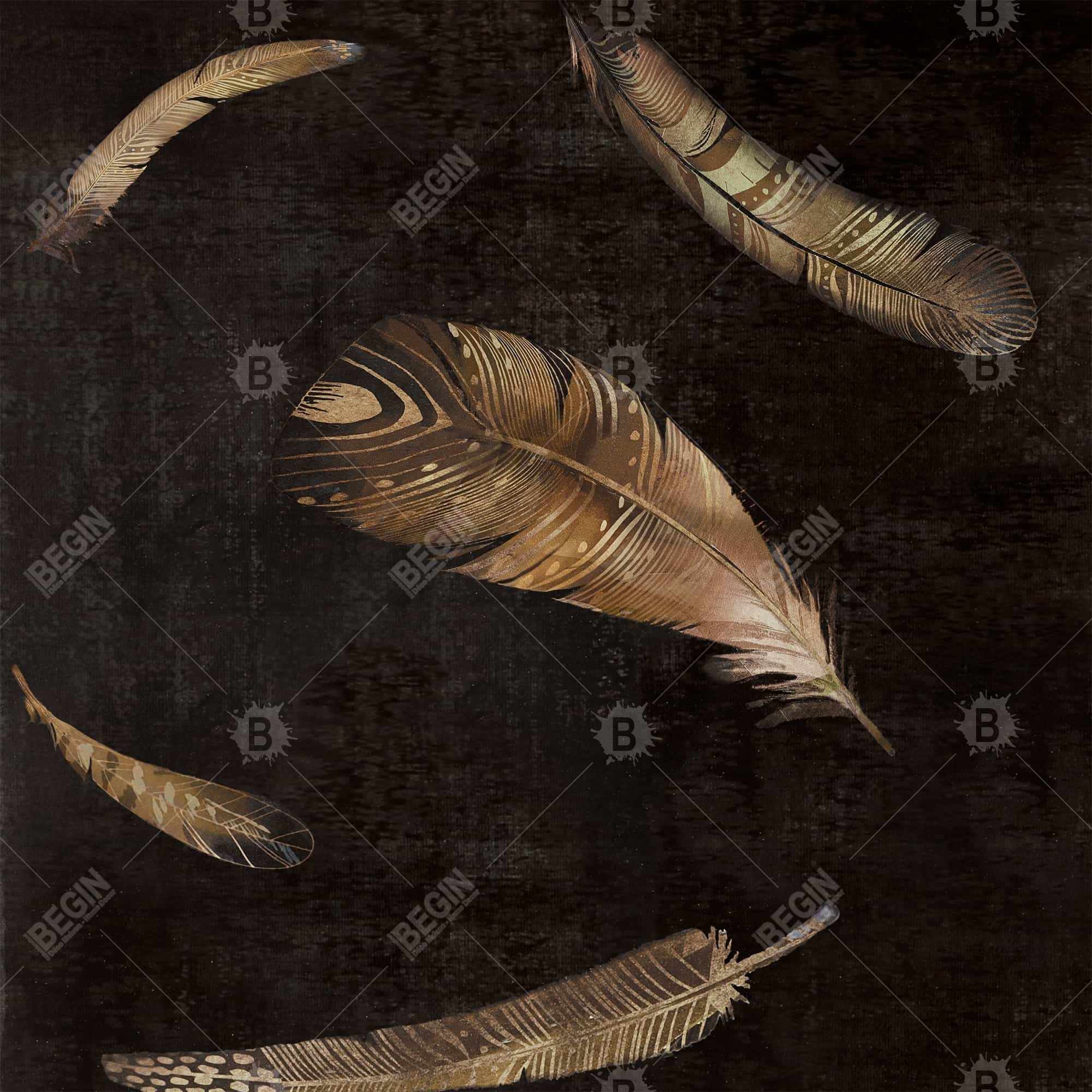 Plumes dorées