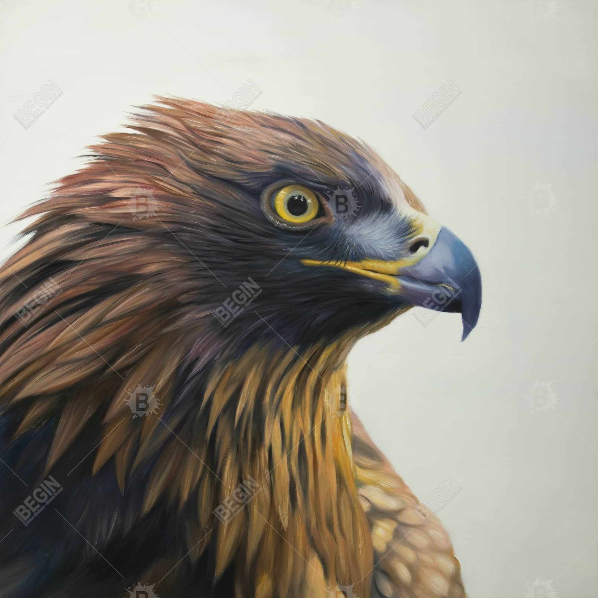 Brown-headed eagle
