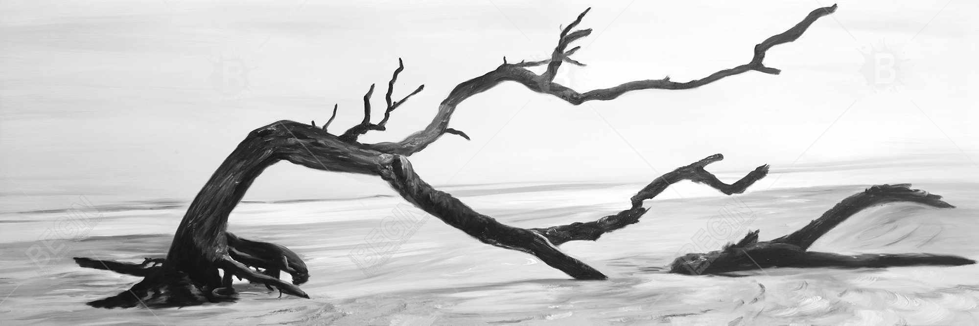 Dead tree in the middle of water