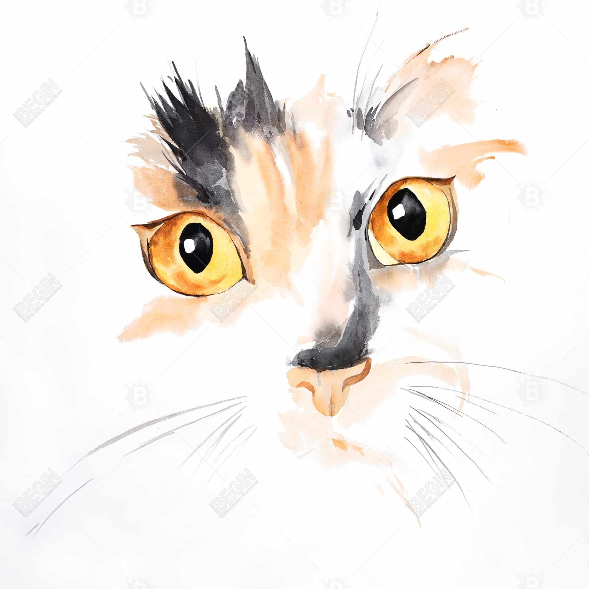 Watercolor cat face closeup