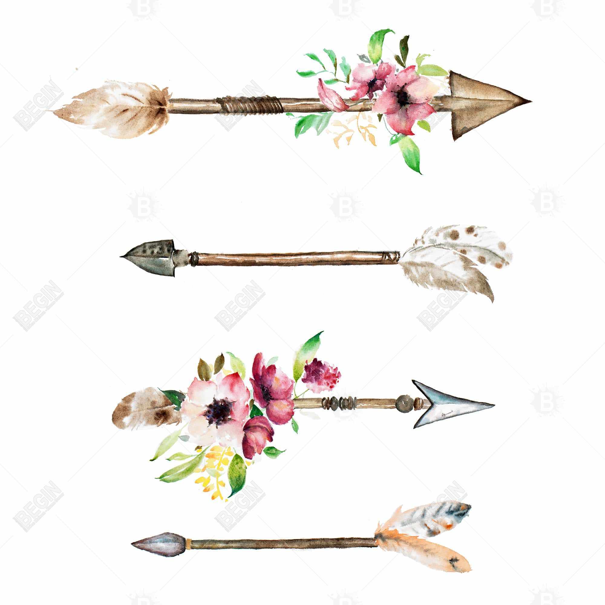 Arrowheads and flowers