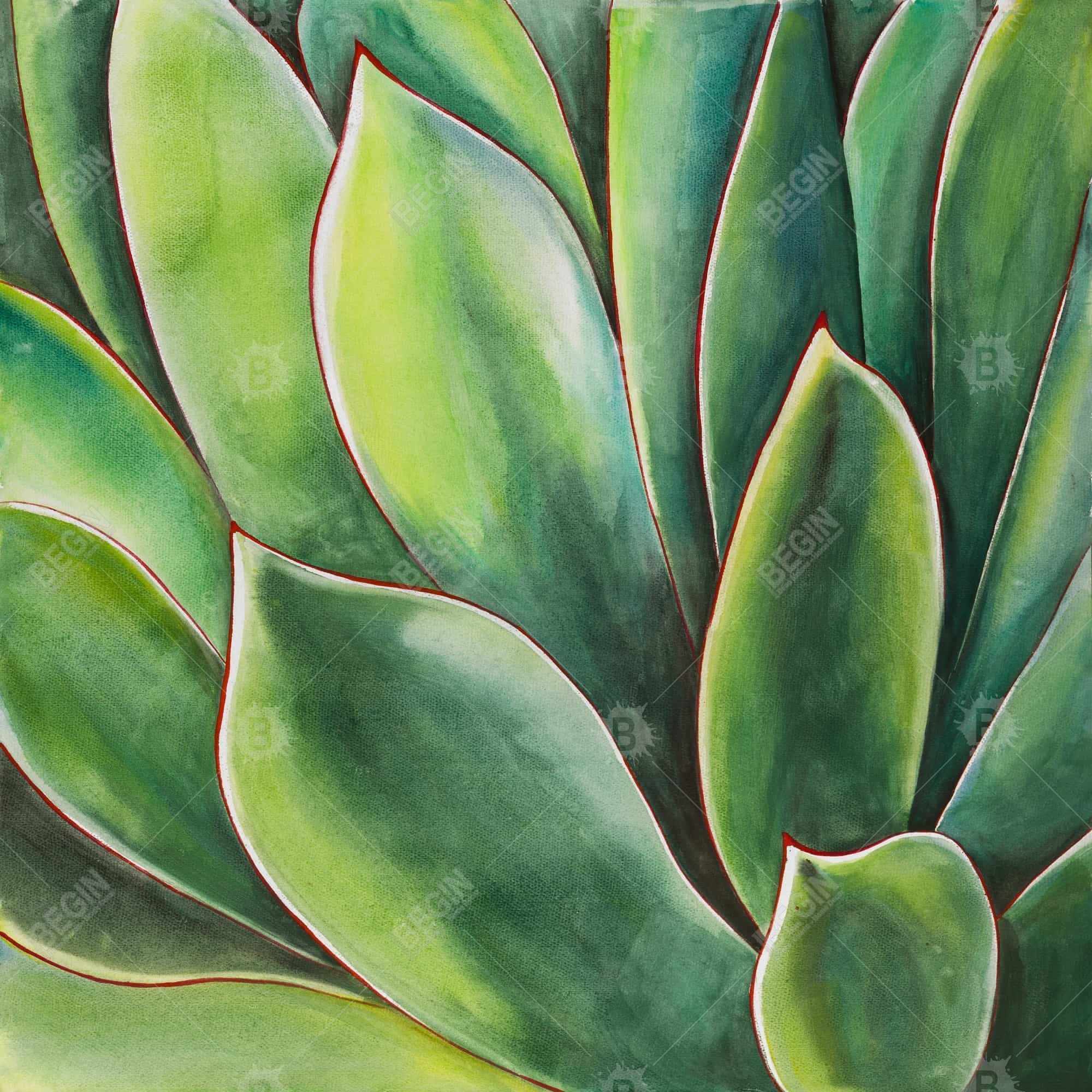 Watercolor agave plant