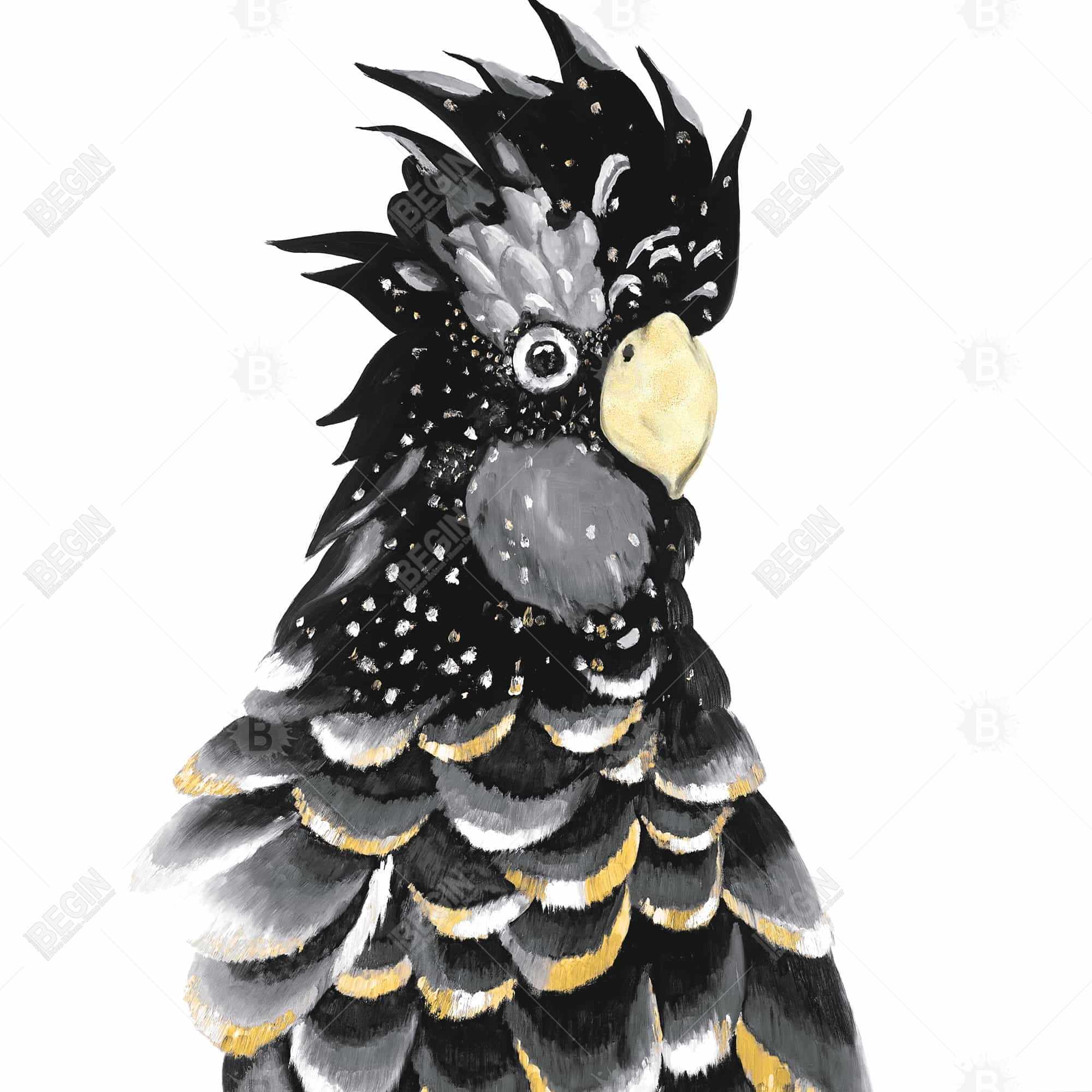 Red-tailed cockatoo parrot