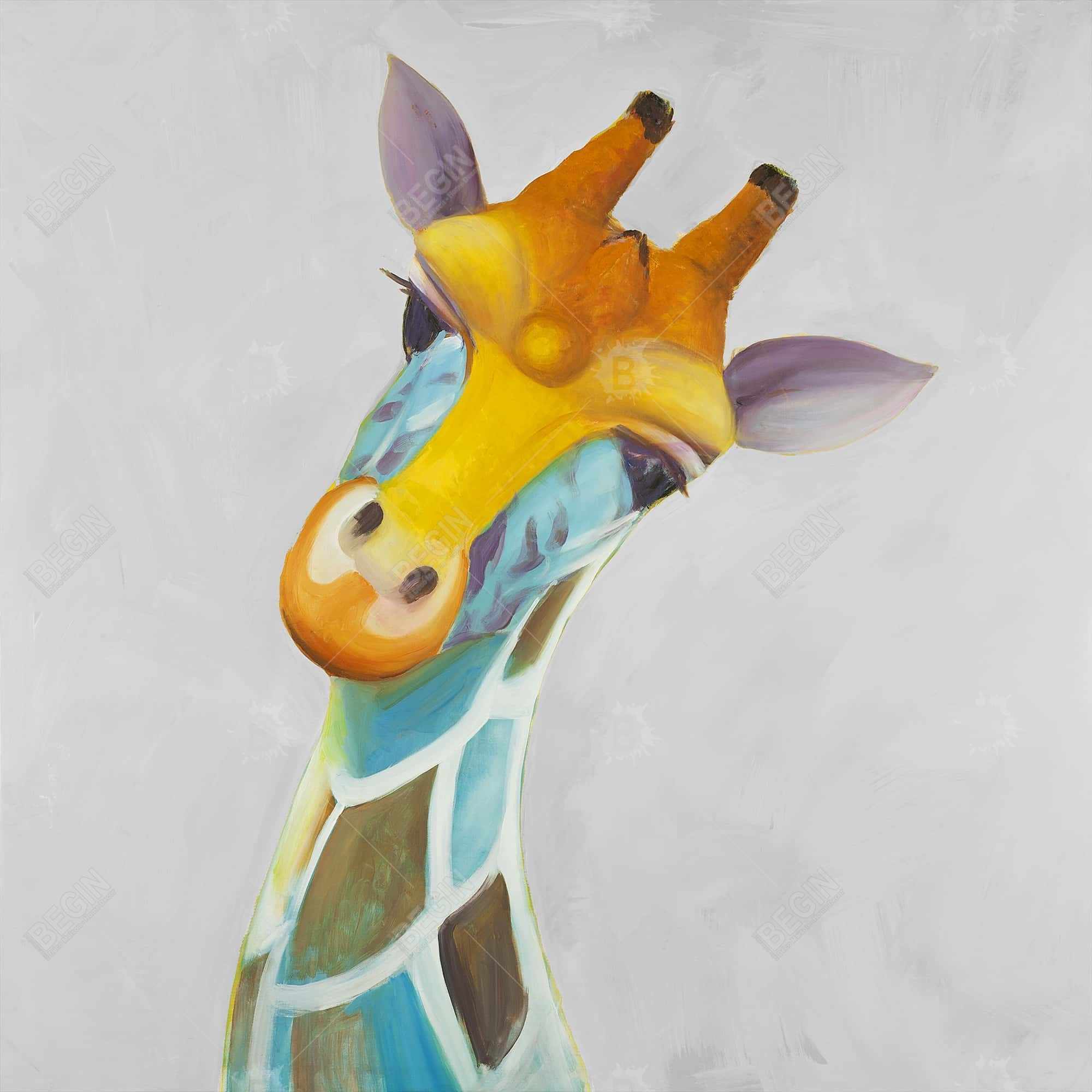 Girafe colorée
