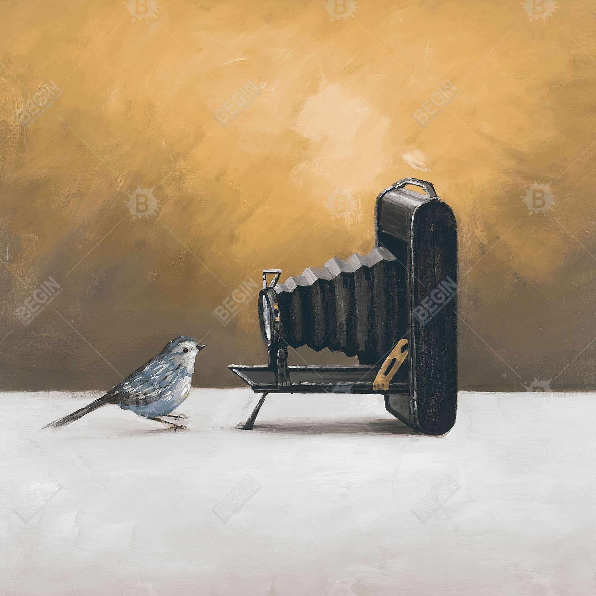 Old camera with bird