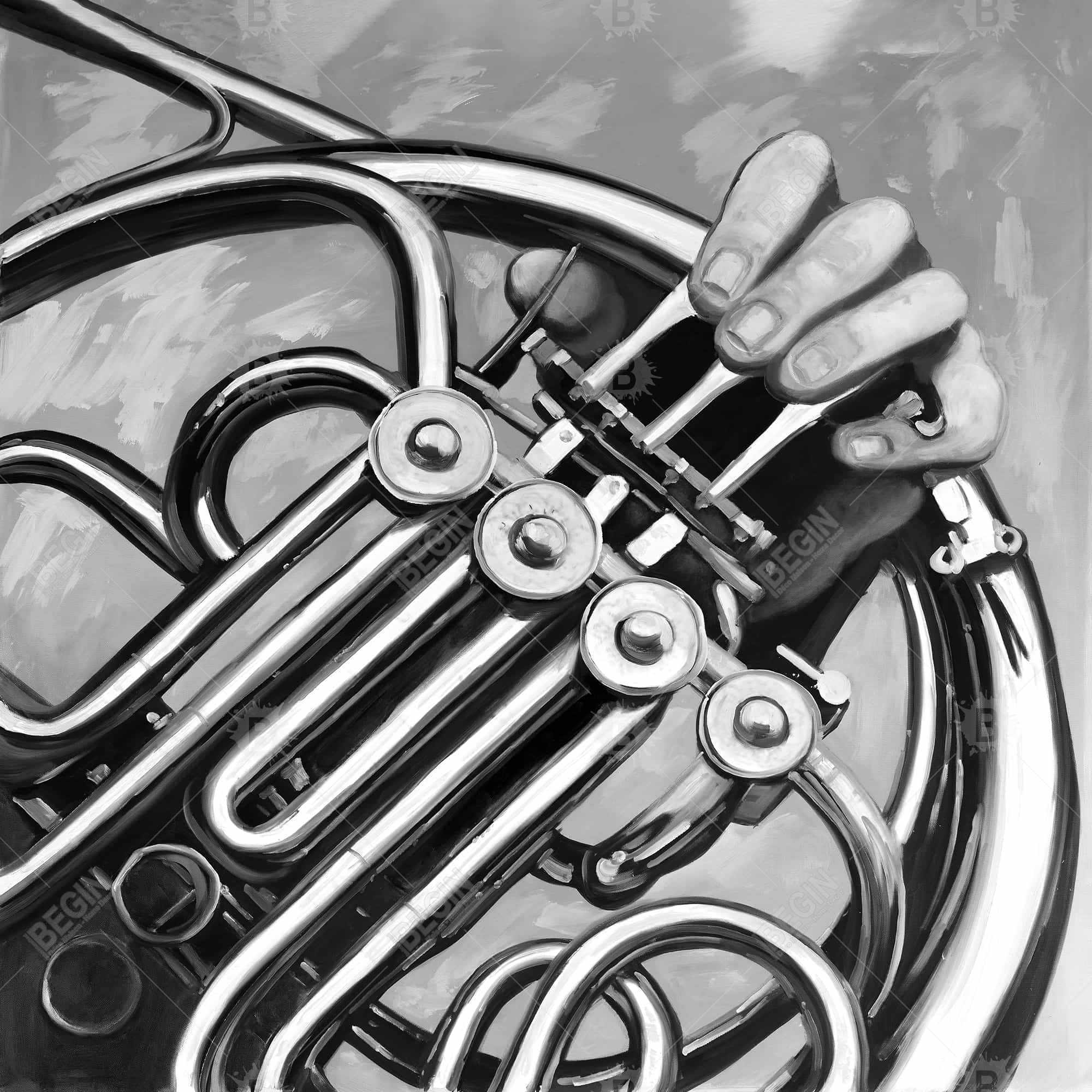 Musicien avec cor français monochrome
