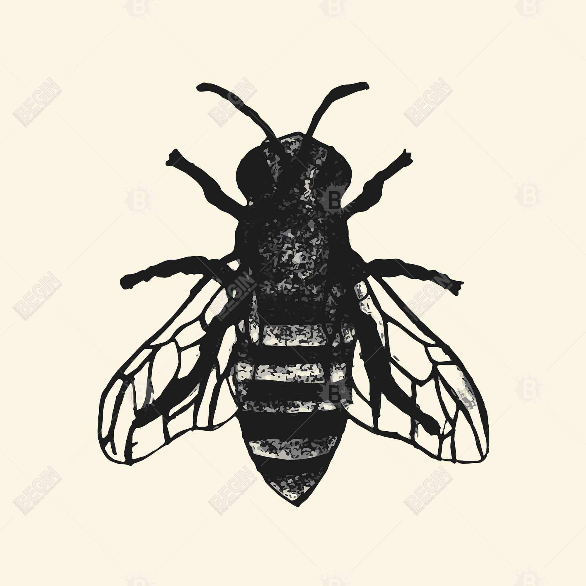 Abeille