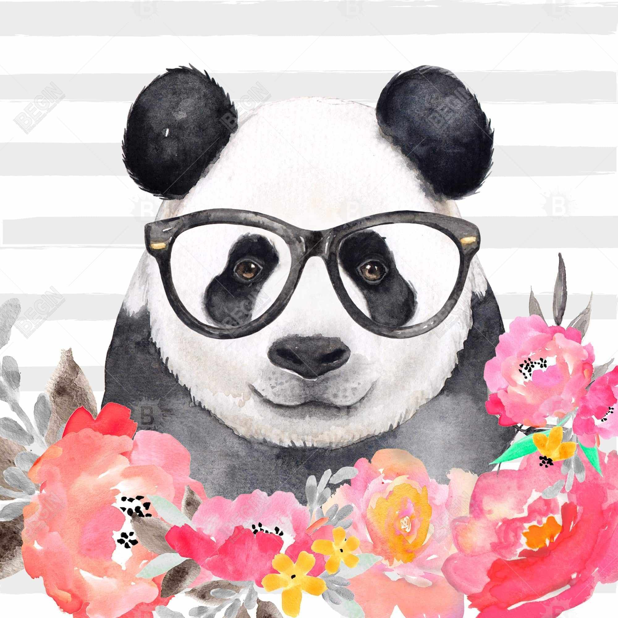 Panda à lunette