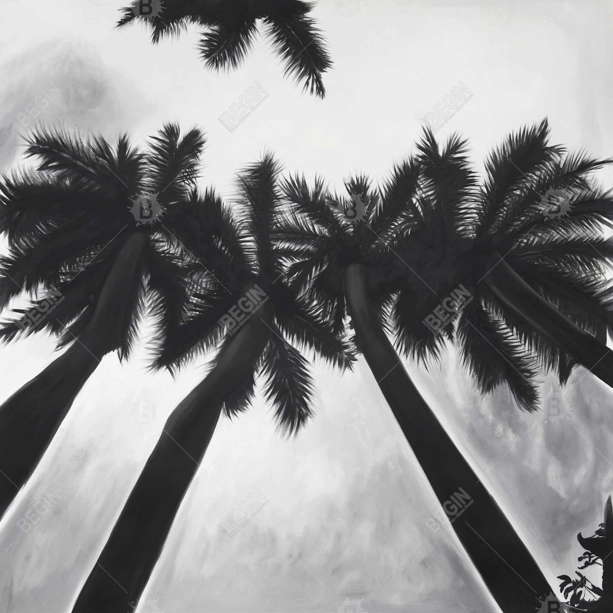 Monochrome palm trees