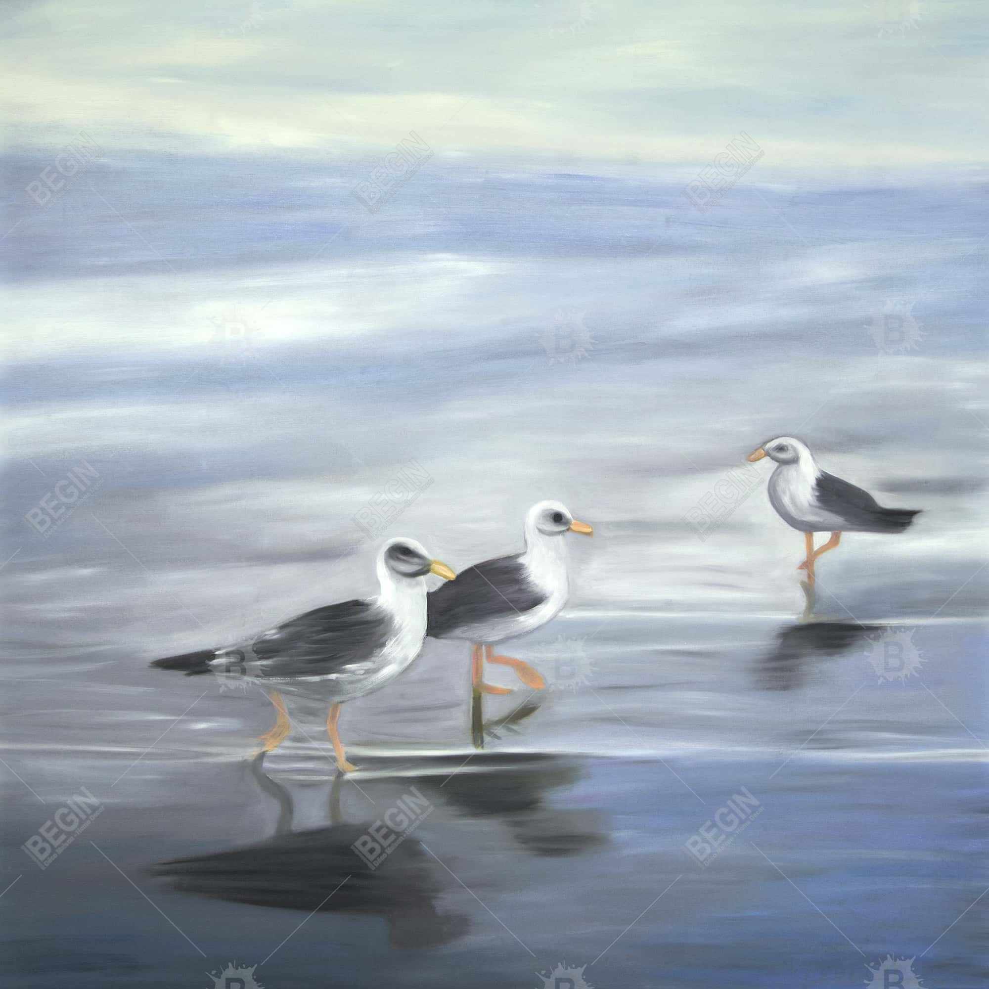 Three gulls