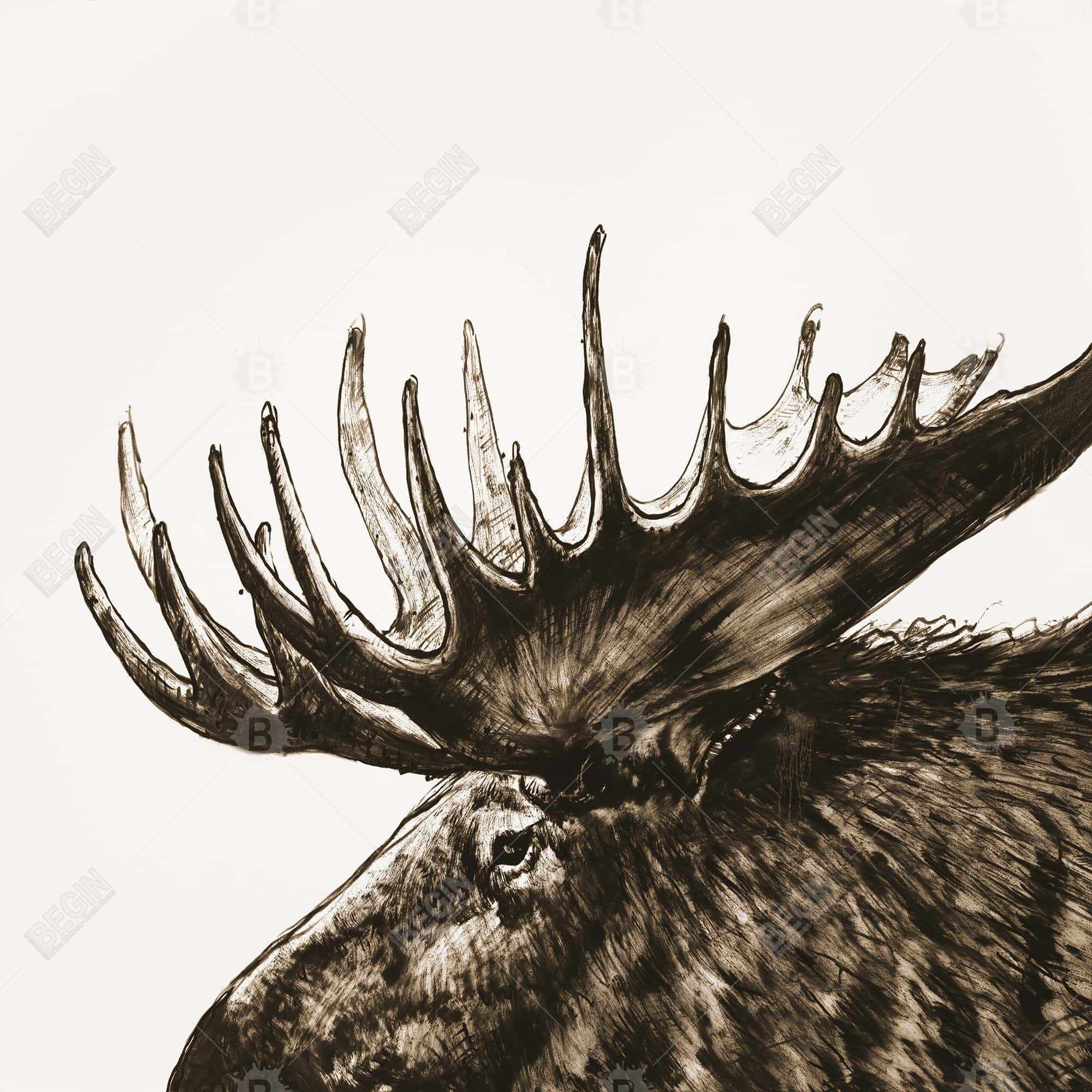 Moose plume sepia