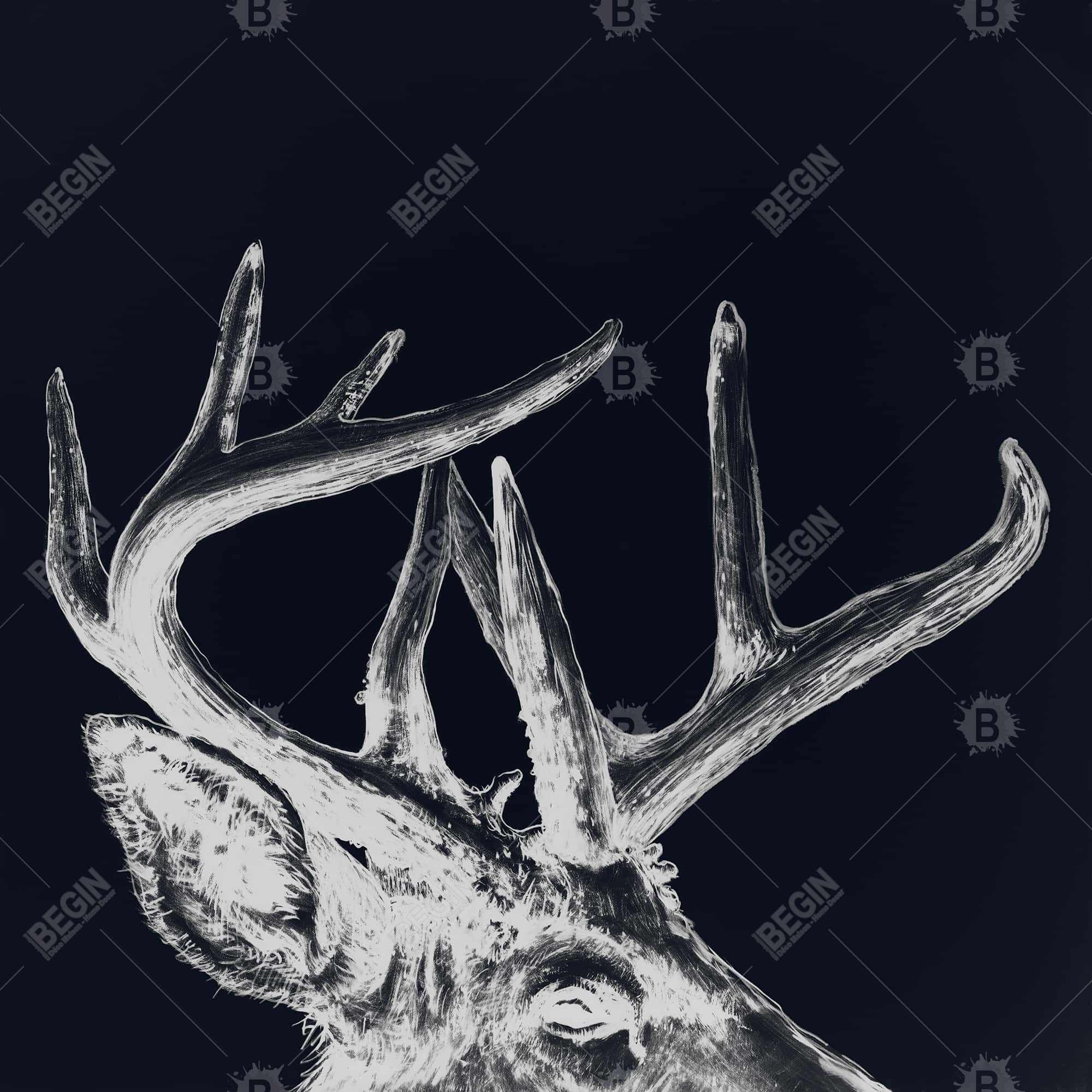 Blue roe deer plume