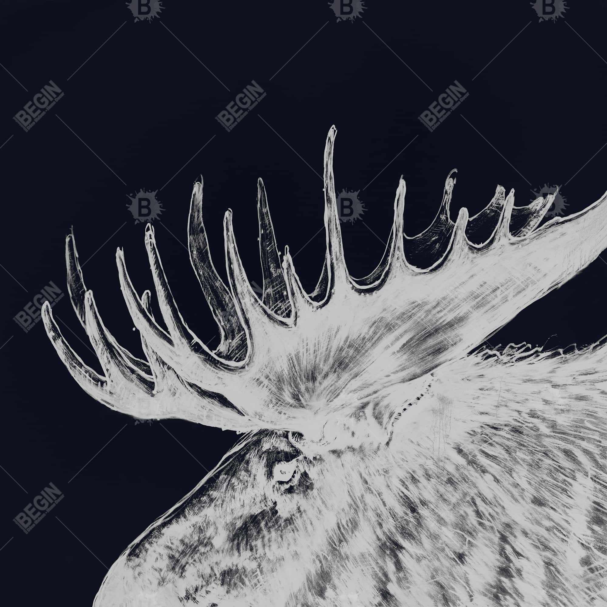 Big moose plume