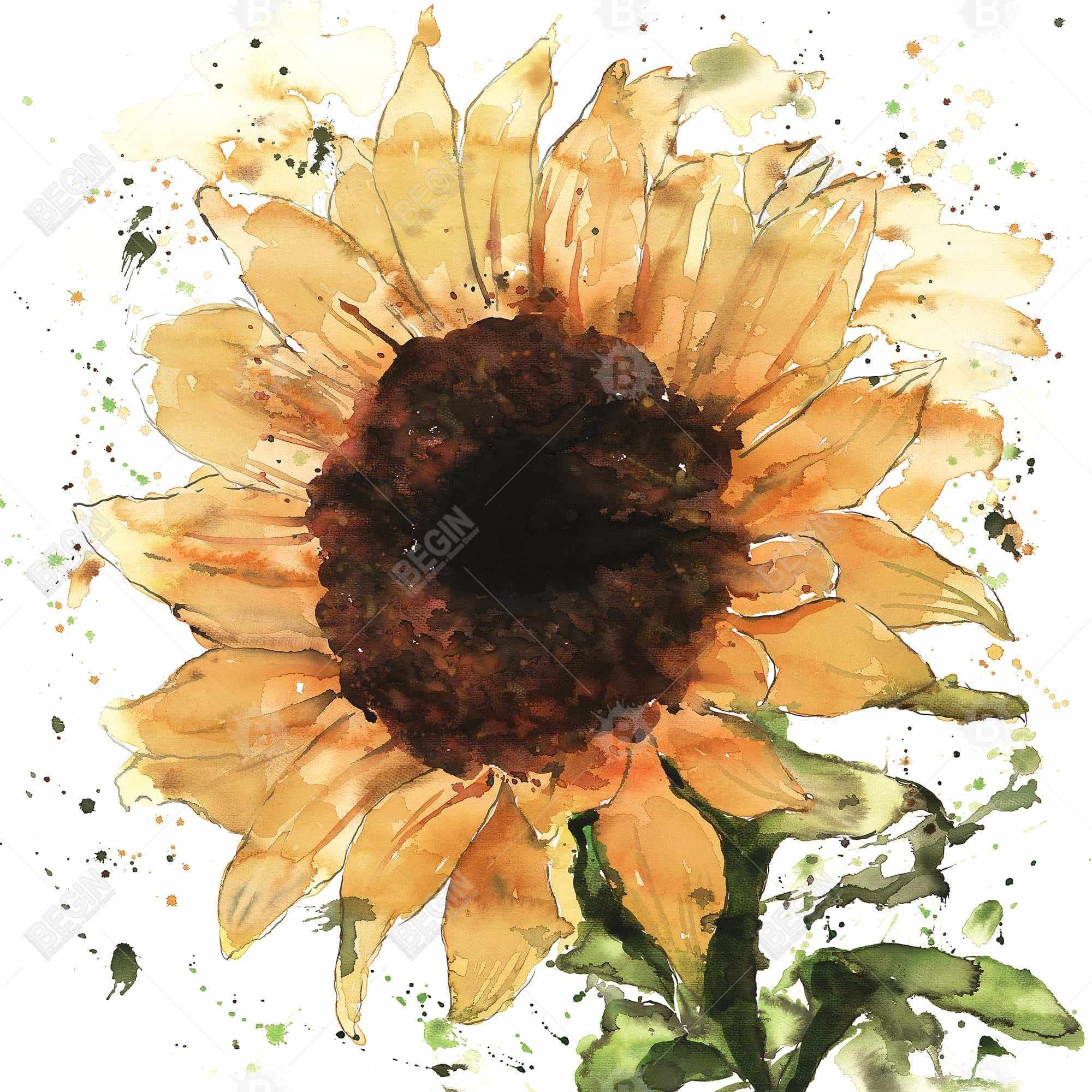 Big sunflower