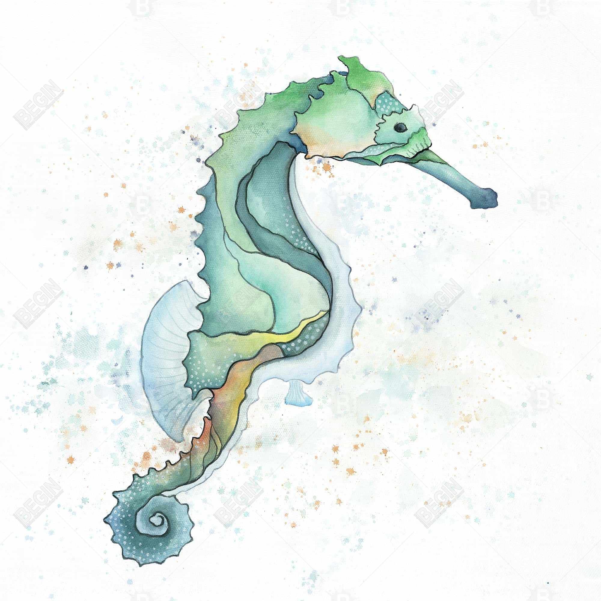 Hippocampe