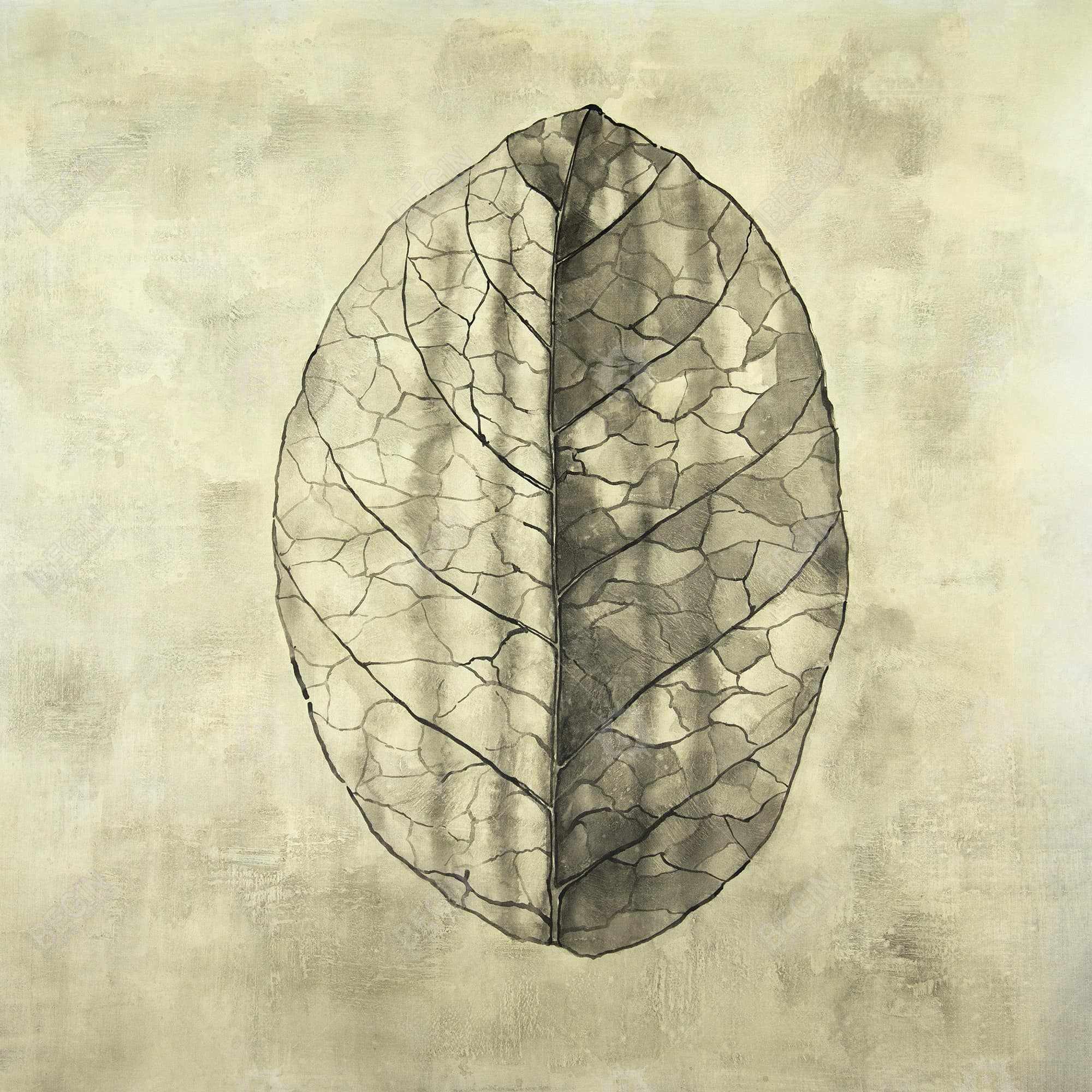 Translucent