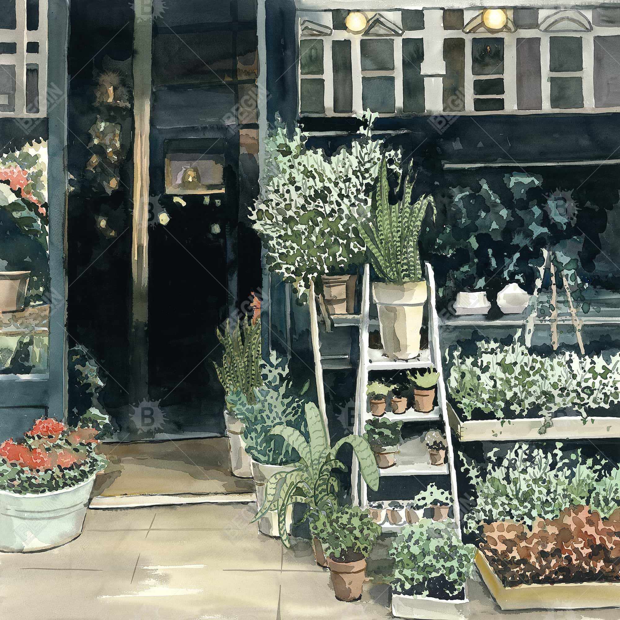 Plants shop