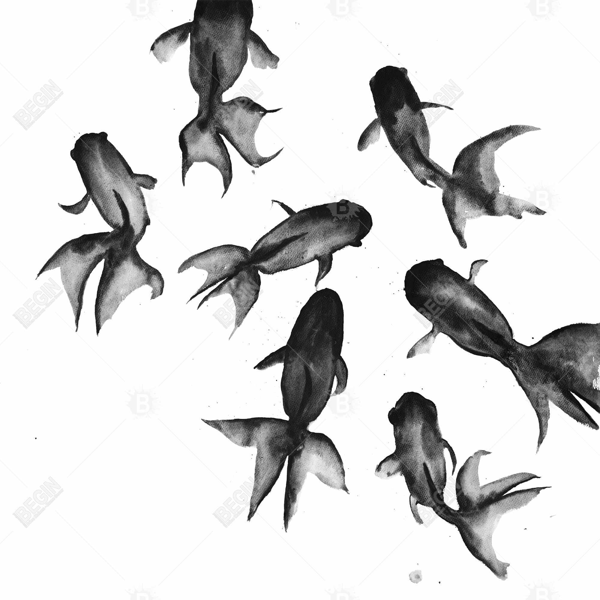 Small black fishes