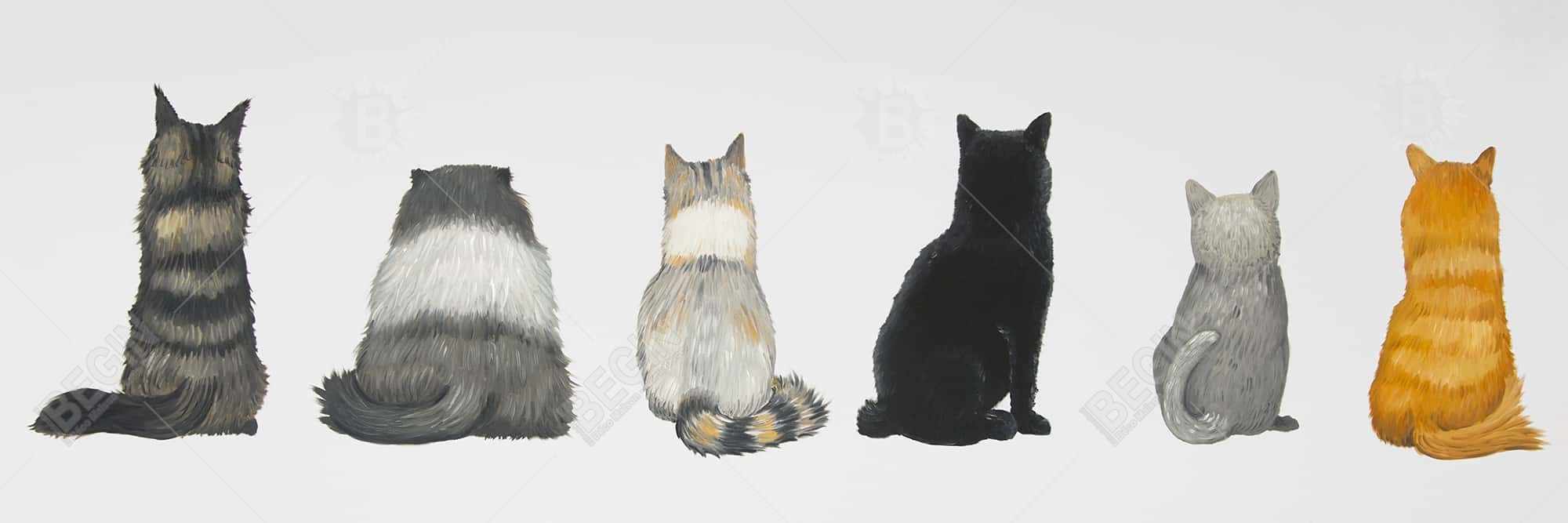 Six cats lined up back view