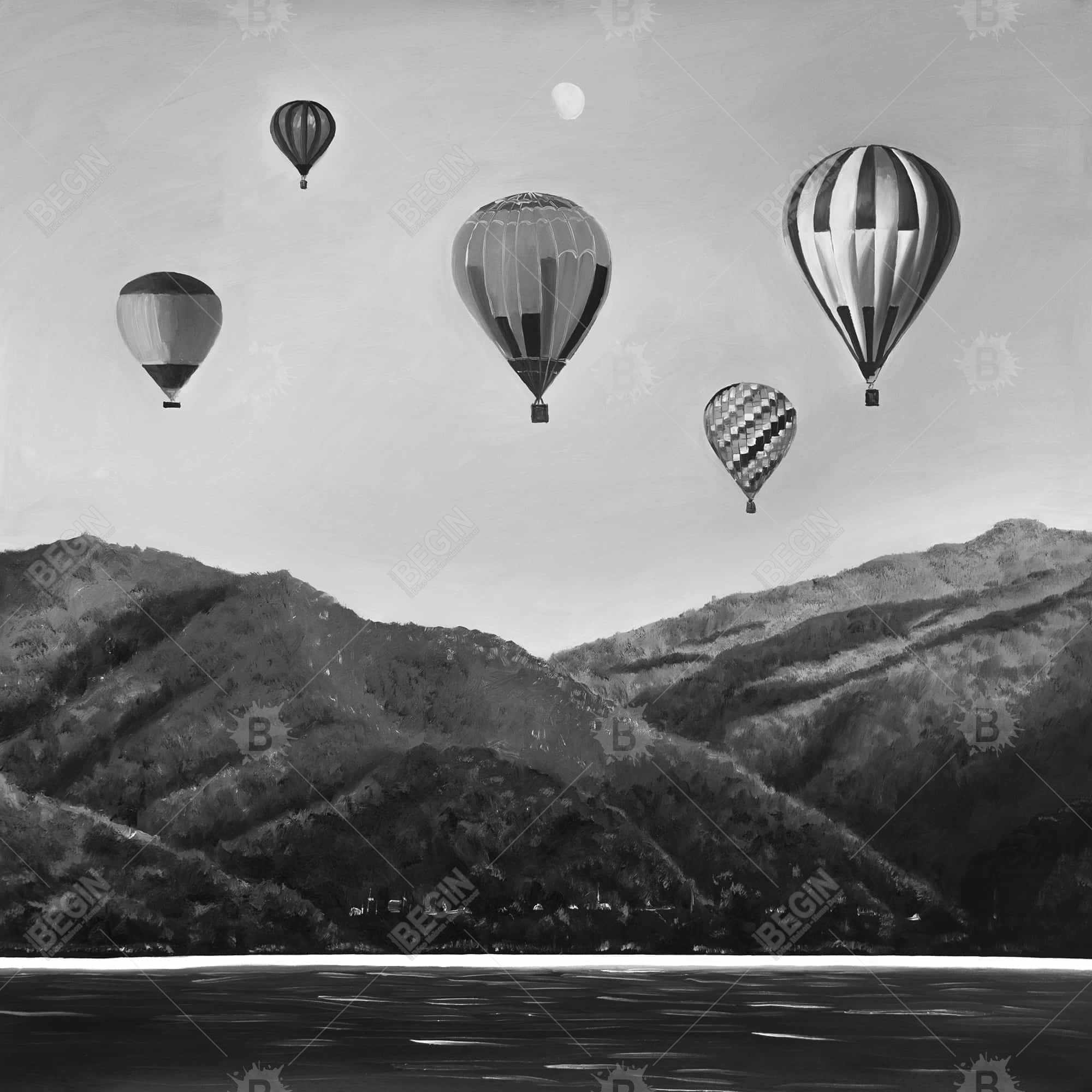 Air balloon landscape