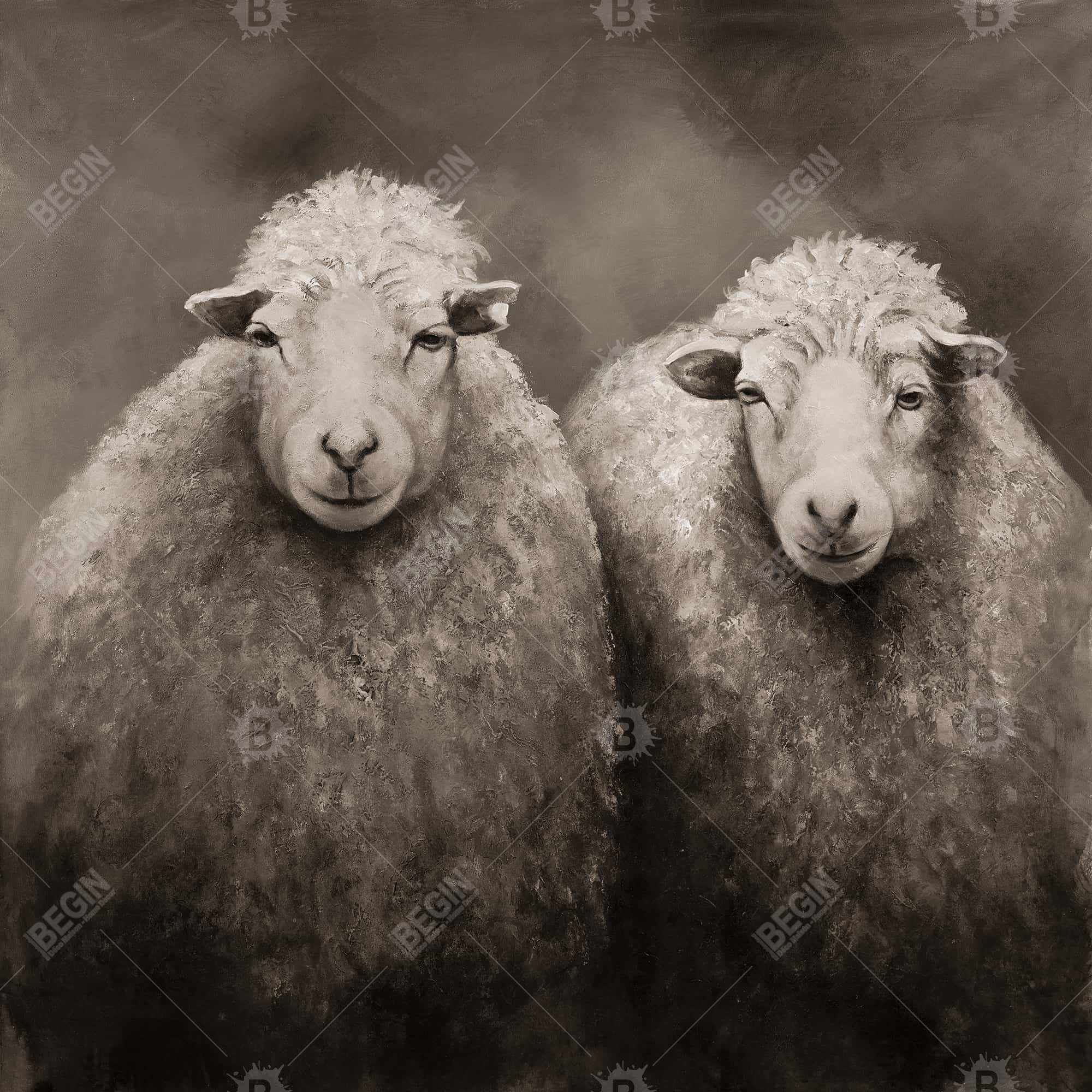 Moutons sépia