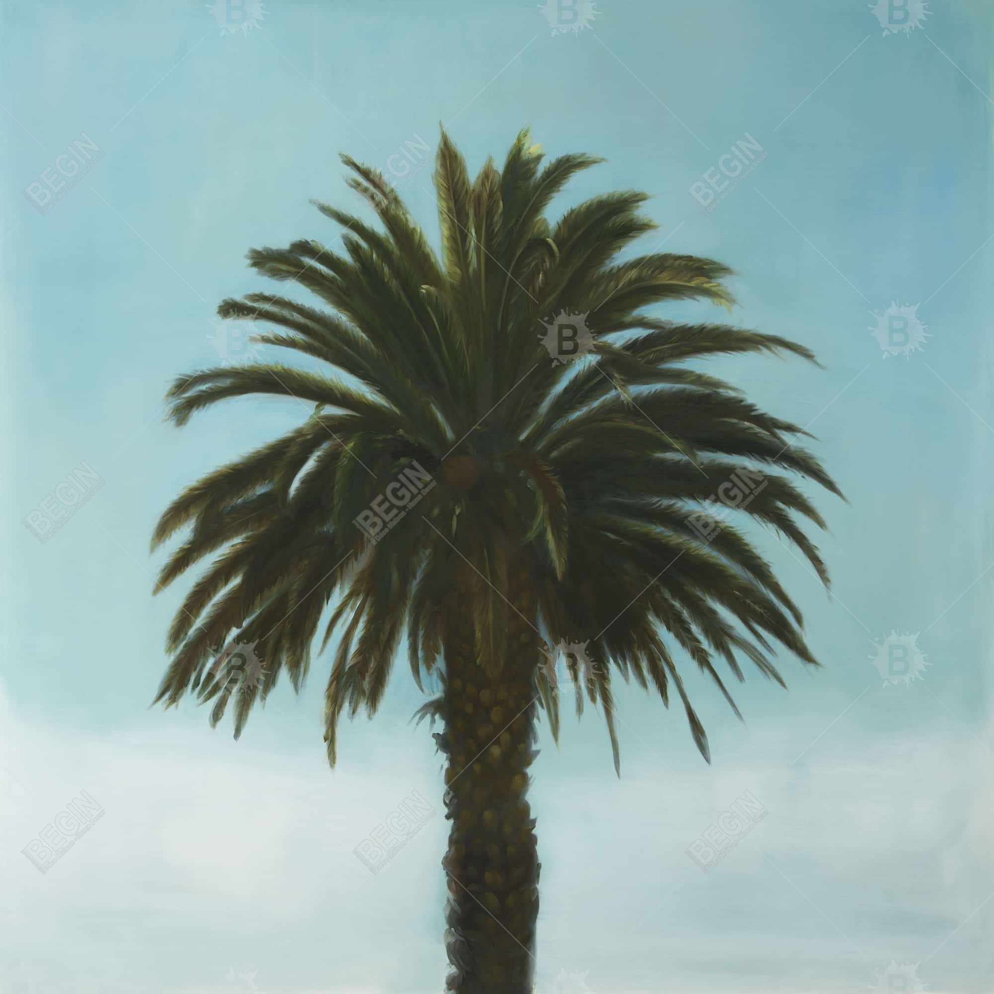 Tropical palm