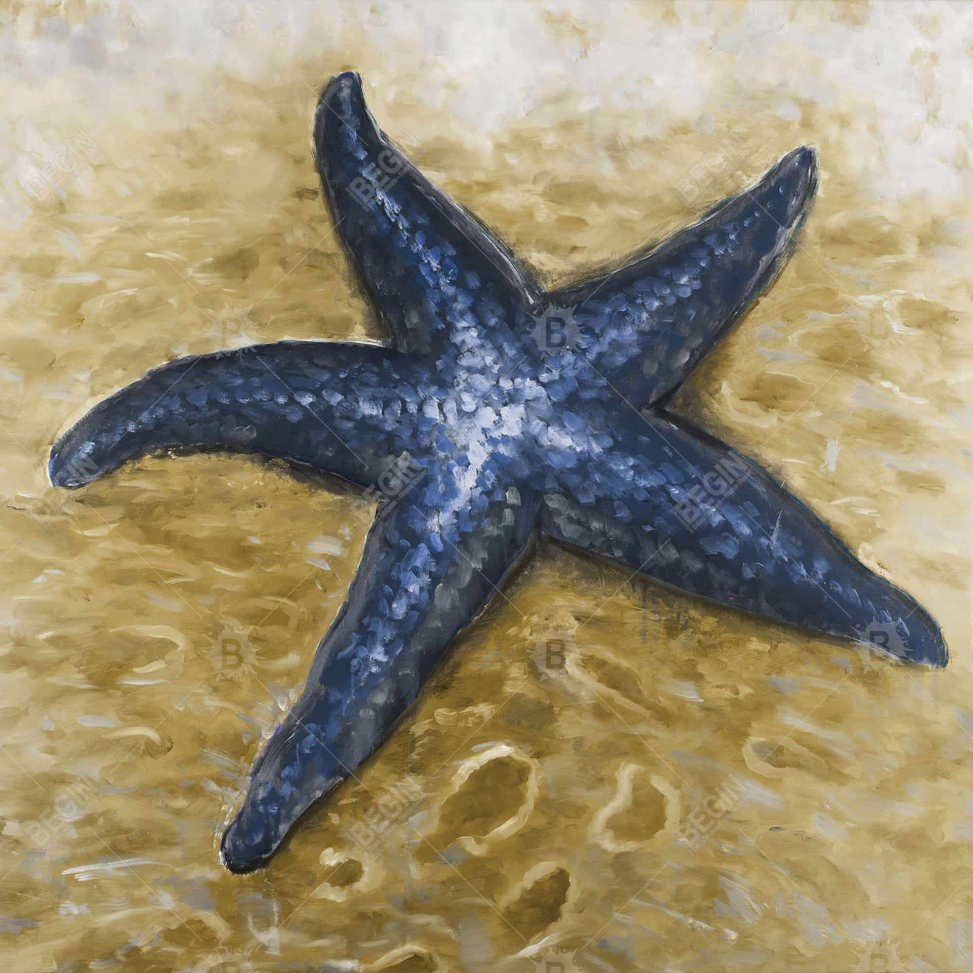 Belle étoile de mer