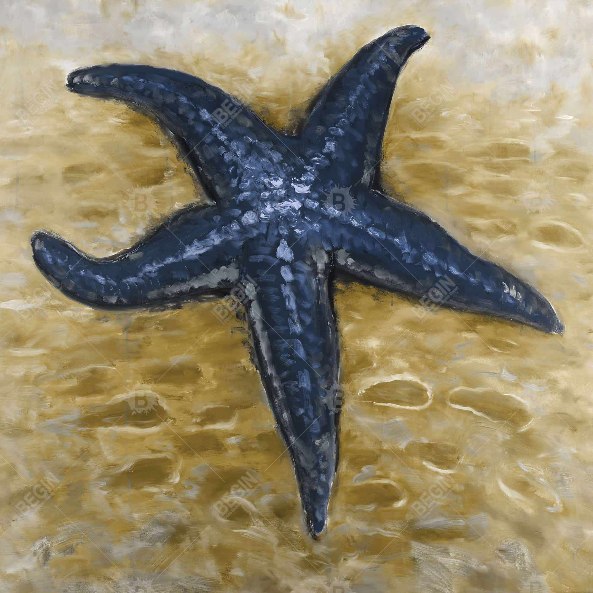 étoile de mer bleu